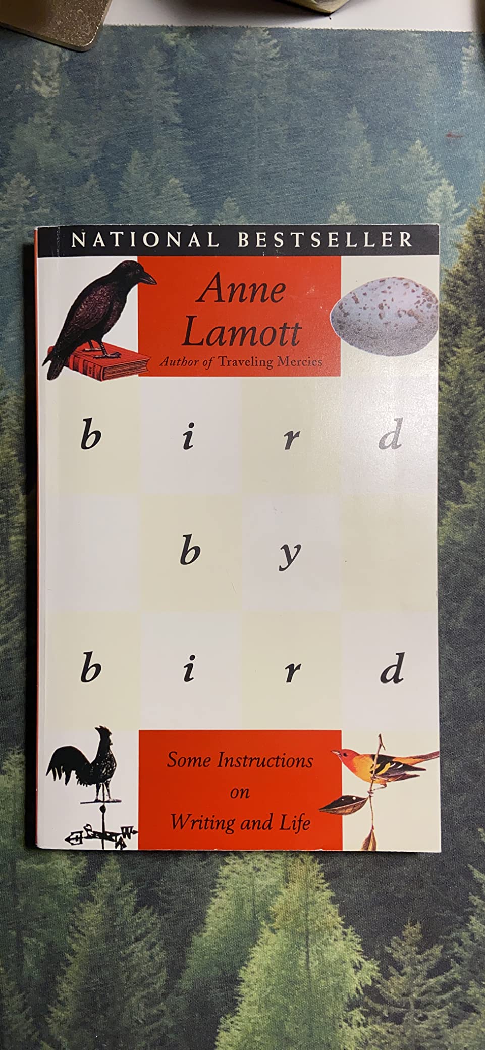 Bird by Bird: Some Instructions on Writing and Life customer photo 1