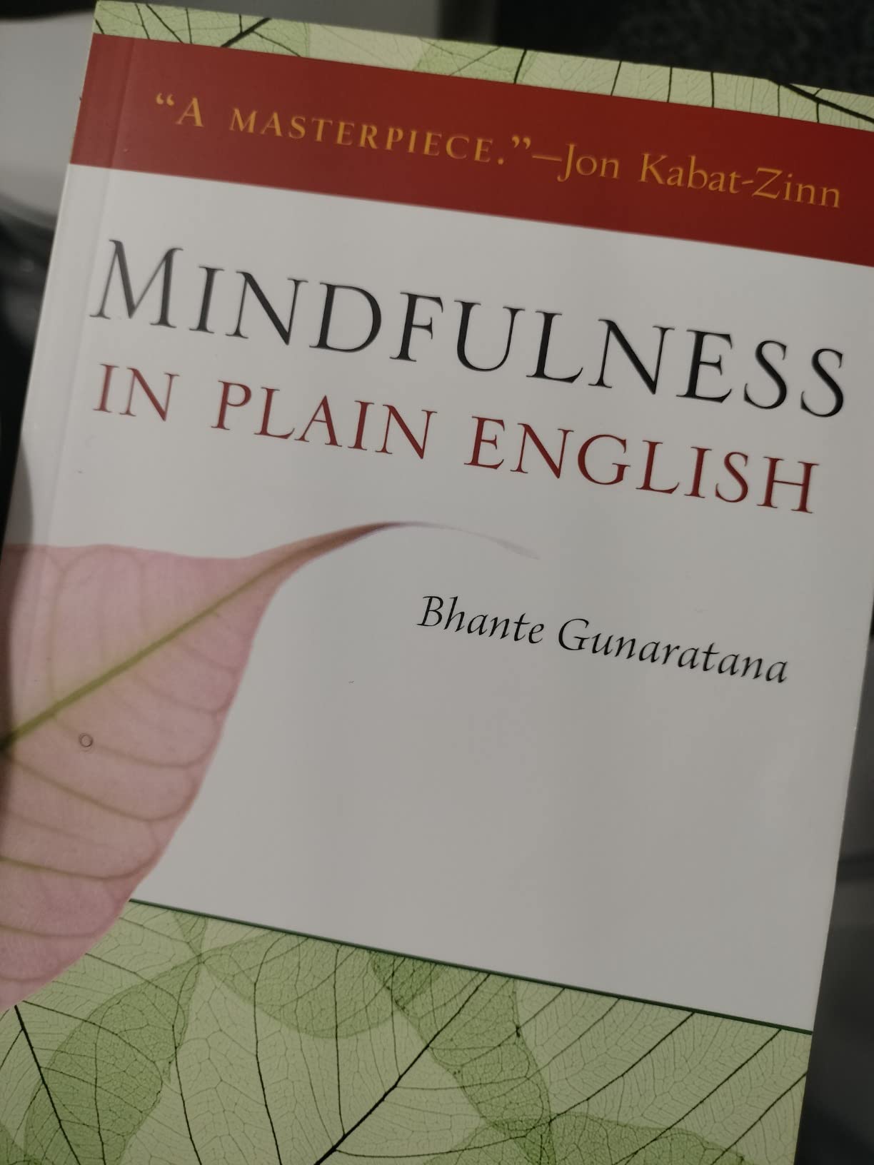 Mindfulness in Plain English: 20th Anniversary Edition customer photo 1