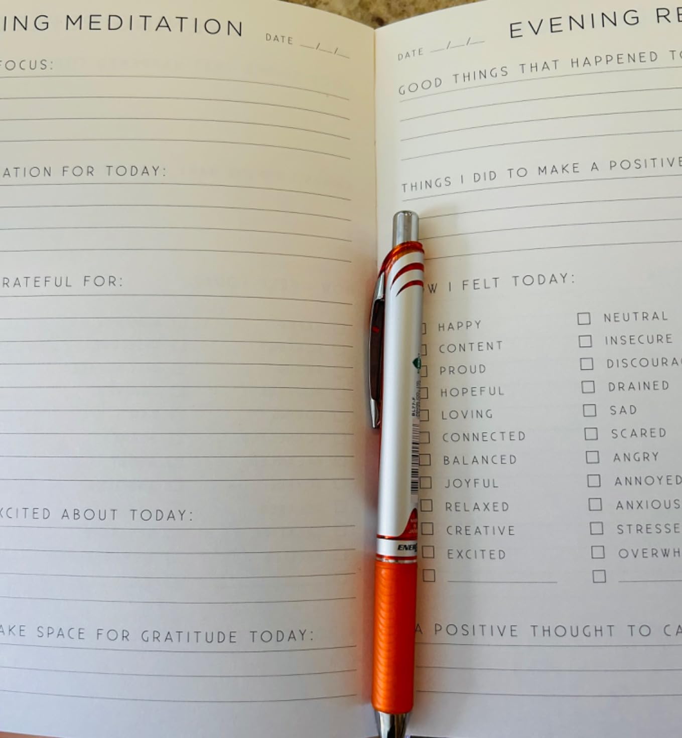Gratitude: A Day and Night Reflection Journal (Inner World) customer photo 1