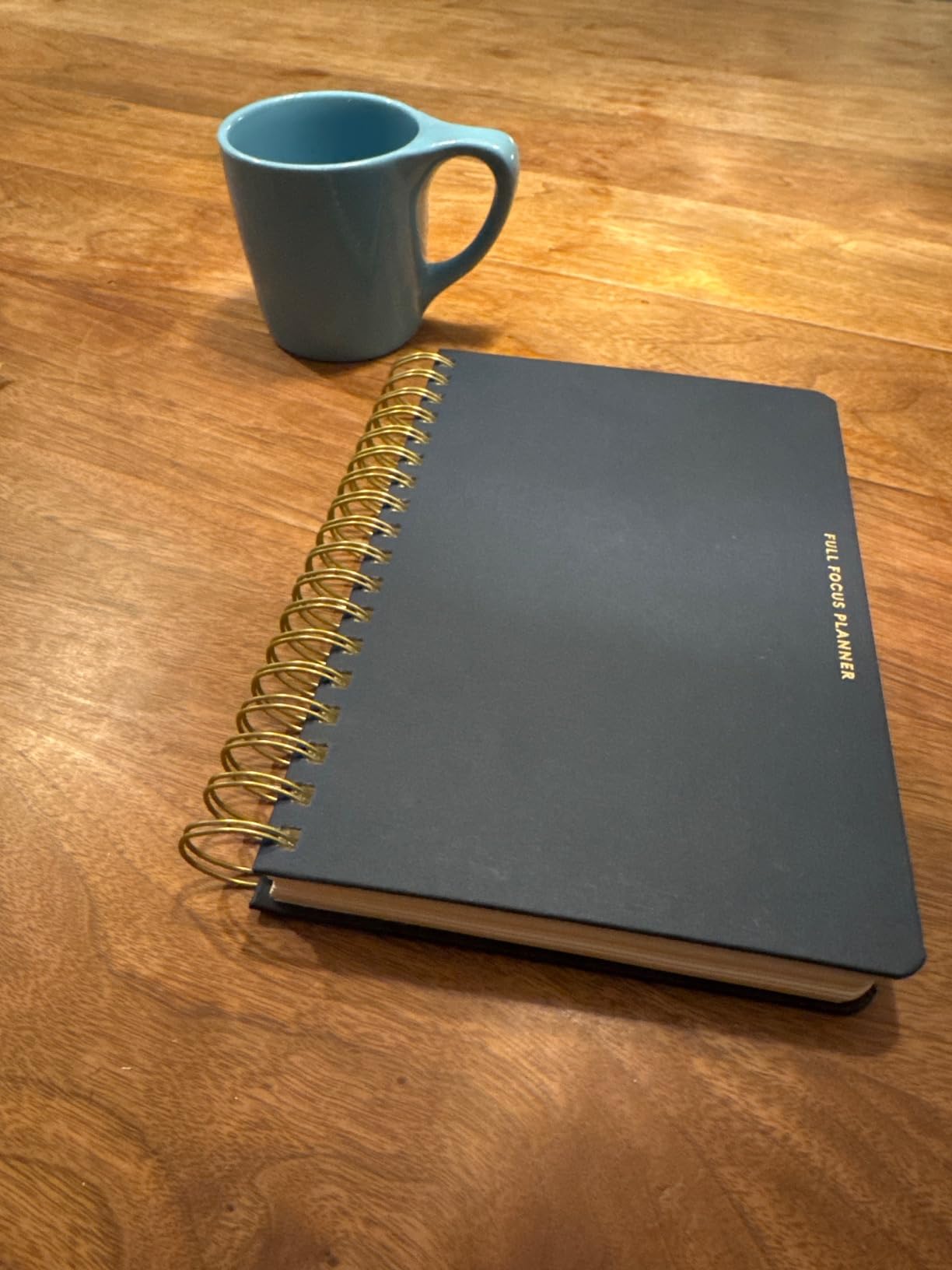 Full Focus Linen Coil Planner by Michael Hyatt - The #1 Daily Planner to Set Annual Goals, Increase Focus, Eliminate Overwhelm, and Achieve Your Biggest Goals - Hardcover customer photo 2