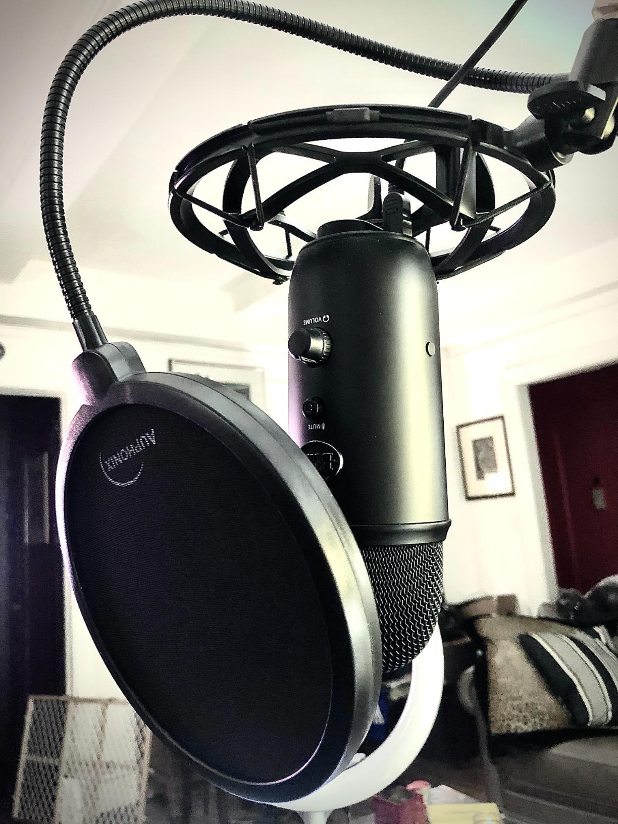 Pop Filter for Mic - 6-inch Diameter, Dual Layered Microphone Pop Screen for Studio Recording, Podcasts and Streaming - MPF-1 customer photo 2