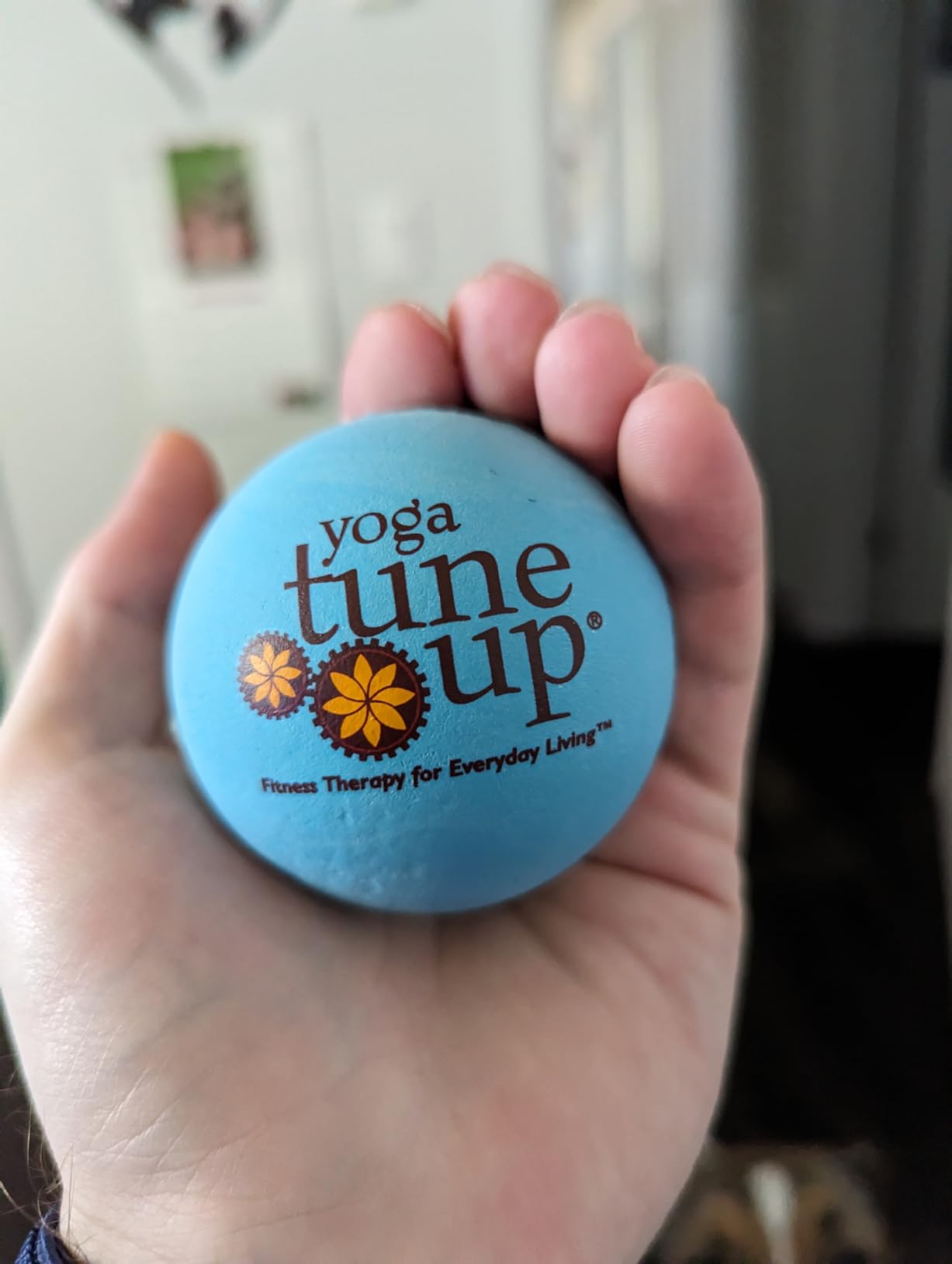 YOGA TUNE UP Therapy Balls in Tote by Tune Up Fitness - Massage Balls for Trigger Point, Pressure Point & Myofascial Release - Use as Single or Peanut Ball for Pain Relief & Relaxation (Aqua Blue) customer photo 1