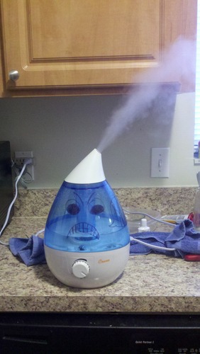 Crane Ultrasonic Cool Mist Humidifier for Bedroom, Baby Nursery, Kids Room, Plants, or Office, Large 1 Gallon Tank, Filter Optional, Grey customer photo 1