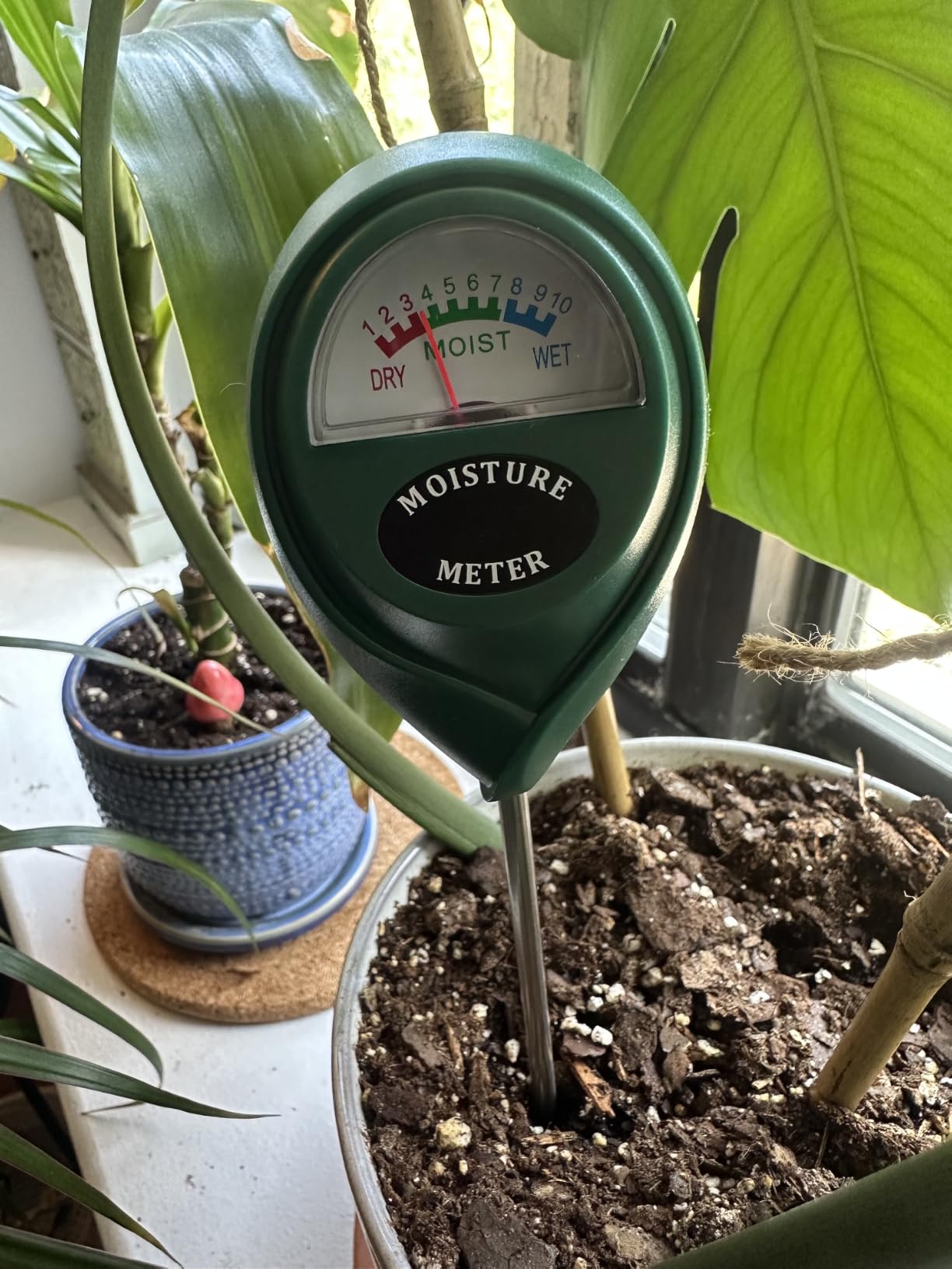 XLUX Soil Moisture Meter (Since 2015) - No Batteries Required, Durable 304 Stainless Steel Probe & Virgin ABS - Instant Read Hygrometer for Garden, Indoor & Outdoor Plants (Upgraded Design) customer photo 1