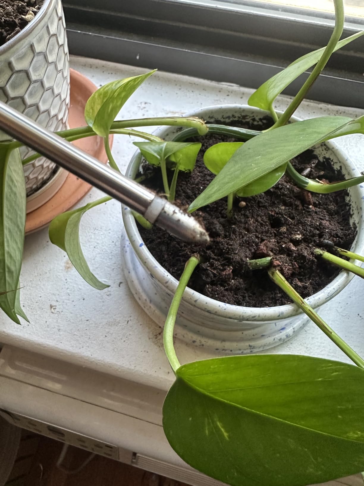 XLUX Soil Moisture Meter (Since 2015) - No Batteries Required, Durable 304 Stainless Steel Probe & Virgin ABS - Instant Read Hygrometer for Garden, Indoor & Outdoor Plants (Upgraded Design) customer photo 2