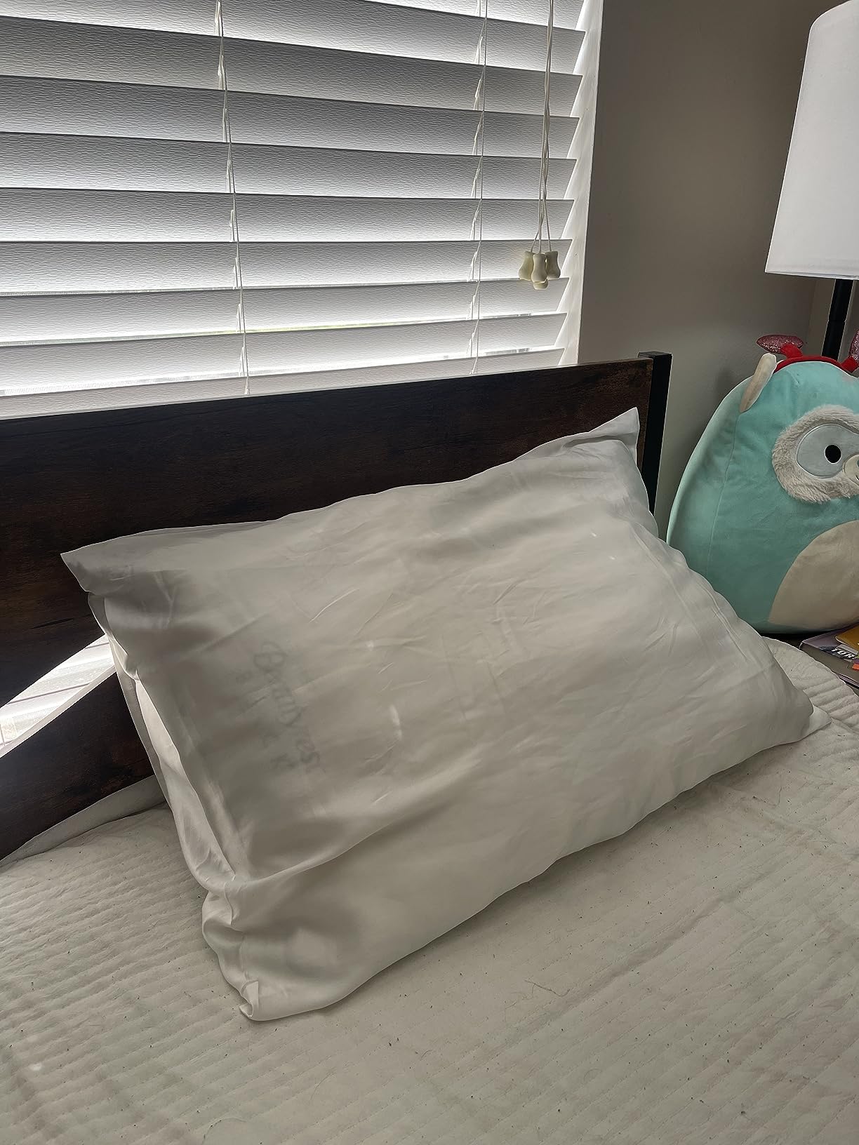 Fishers Finery 19mm 100% Pure Mulberry Silk Pillowcase, Quality Tested (Silver, Queen) customer photo 1