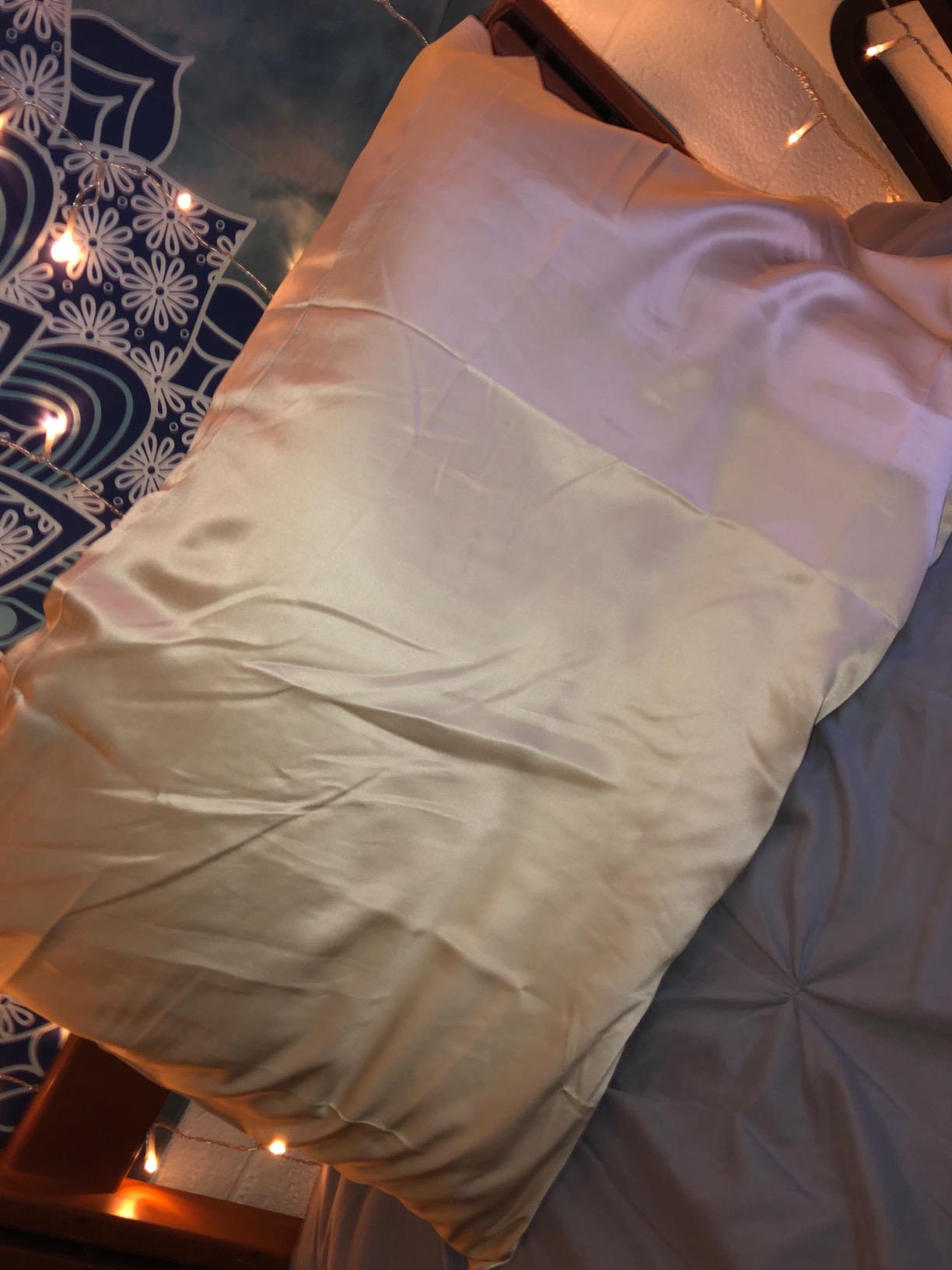 Fishers Finery 19mm 100% Pure Mulberry Silk Pillowcase, Quality Tested (Silver, Queen) customer photo 2