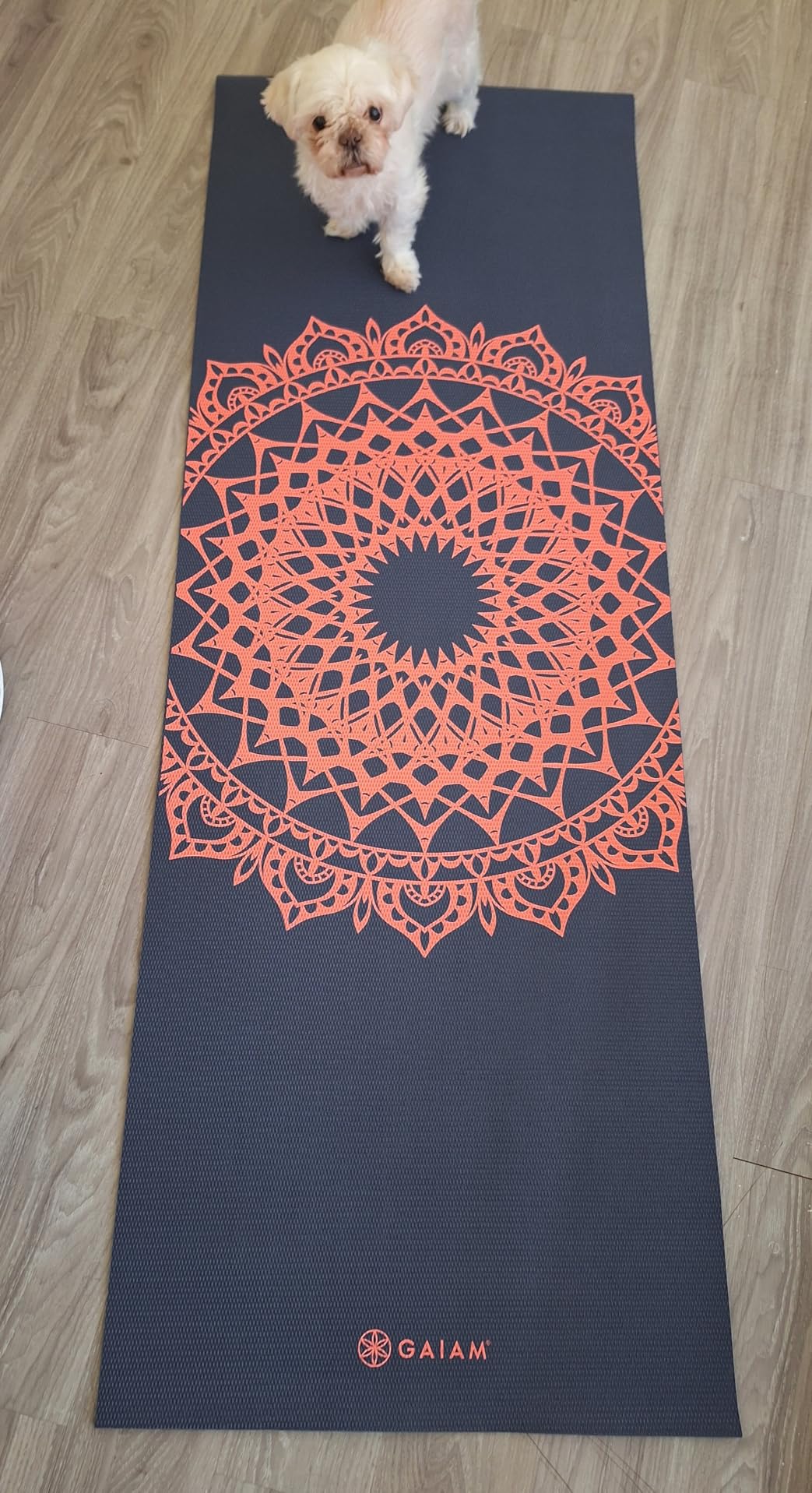 Gaiam Print Yoga Mat, Non Slip Exercise & Fitness Mat for All Types of Yoga, Pilates & Floor Exercises customer photo 2