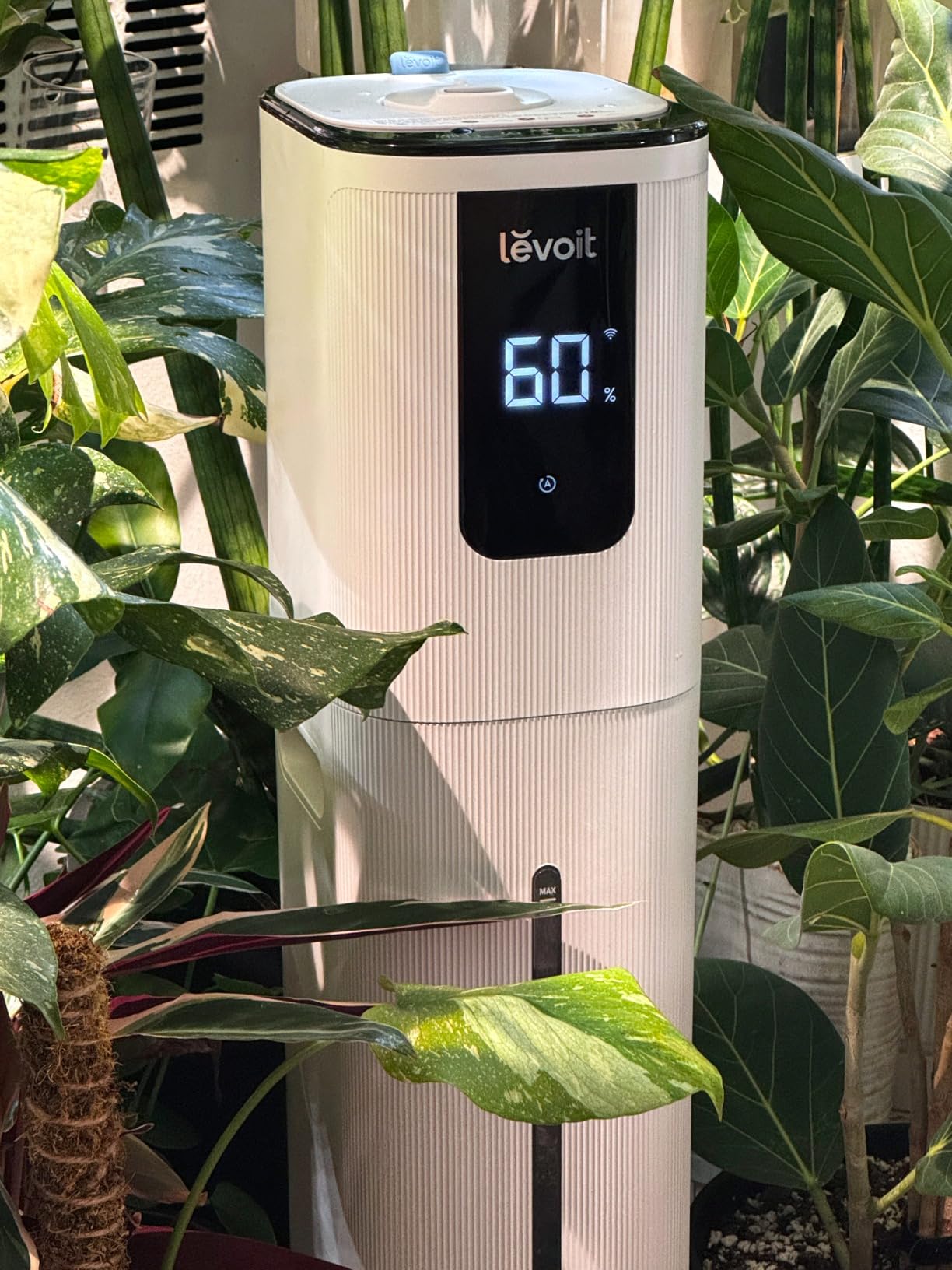 LEVOIT Humidifiers for Bedroom Large Room Home, 6L Warm and Cool Mist Ultrasonic Air Vaporizer for Plants and Whole House, Built-in Humidity Sensor, Essential Oil Diffuser, Whisper Quiet, Timer, White customer photo 1