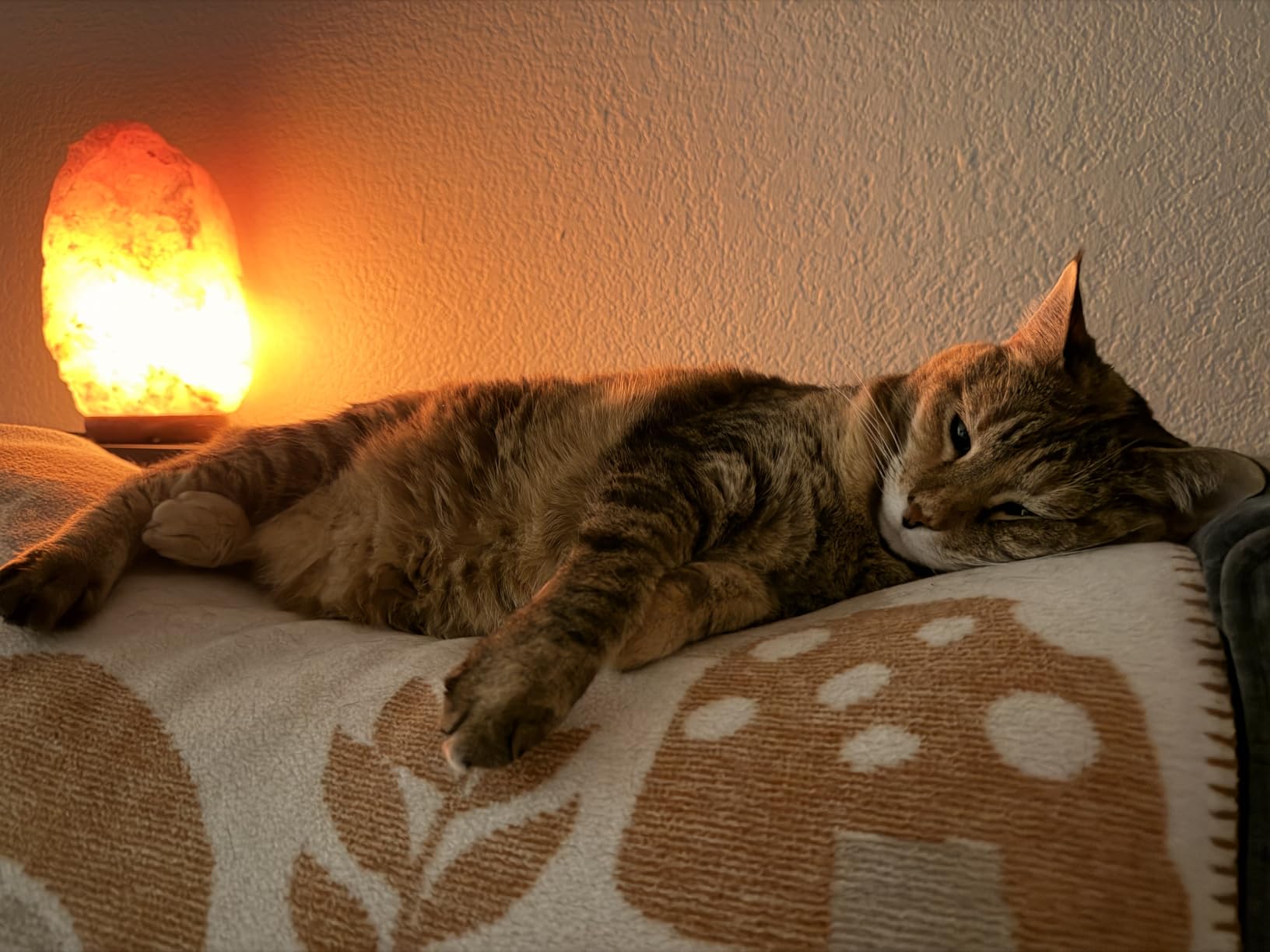 Himalayan Salt Lamp for Bedroom Large 8-10 Inch Pink Salt Rock Lamp with Dimmer, Wooden Base & Spare Bulbs | Calming Ambient Night Light | Thoughtful Wellness Gift for Women, Home, or Office customer photo 1