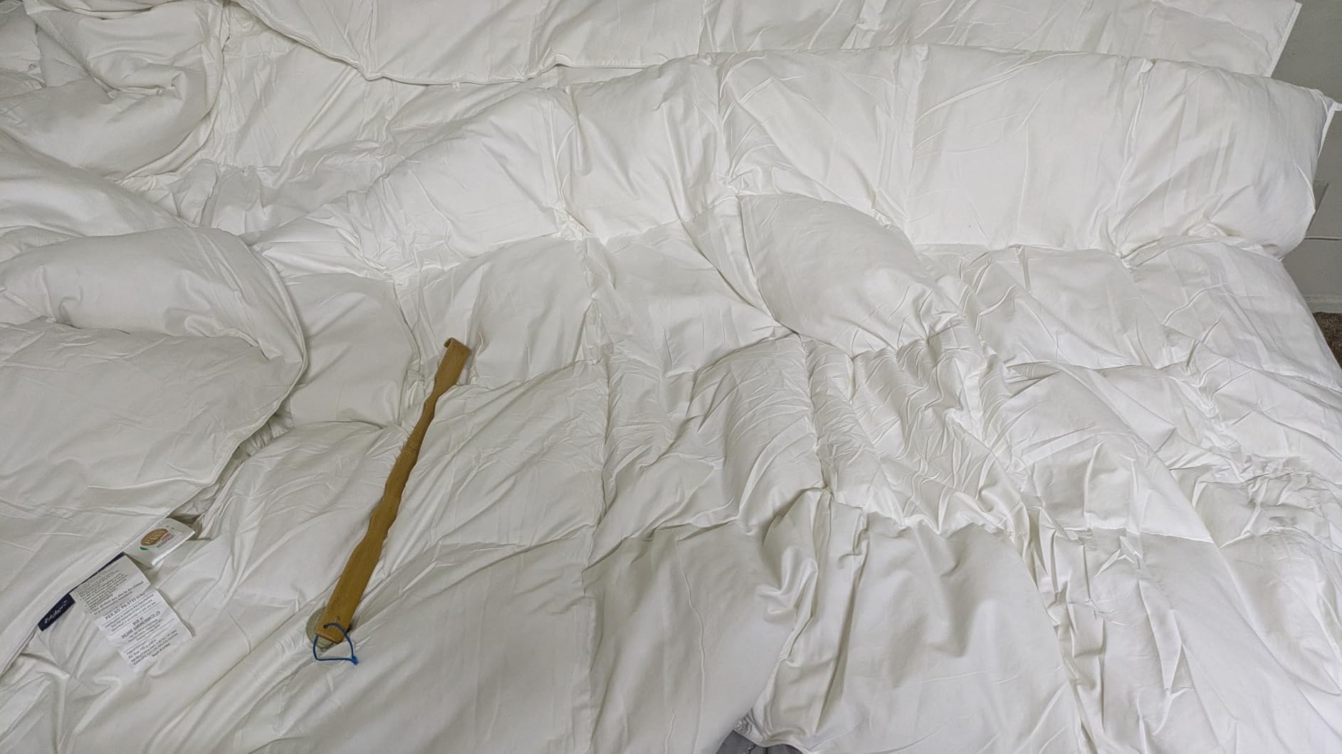 Globon Winter White Goose Down Comforter Queen Size,Down Duvet Insert,800 Fill Power,420 Thread Count Ultra Soft Noiseless Shell with Corner Tabs,White customer photo 2