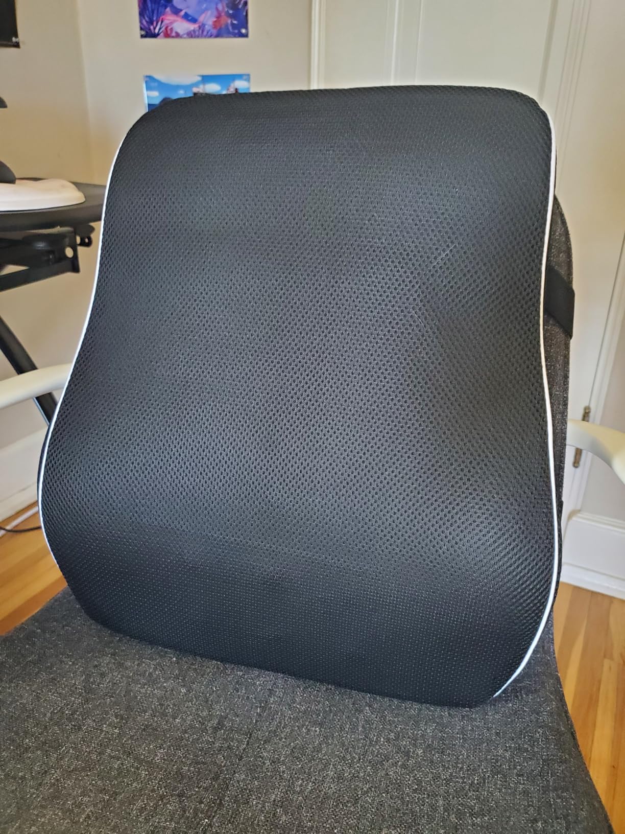 Lumbar Support Pillow for Office Chair, Office Home Essentials, Back Support Pillow for Car, Chair Cushions, Back Pain Relief Improve Posture, Mesh Cover Double Adjustable Straps customer photo 2