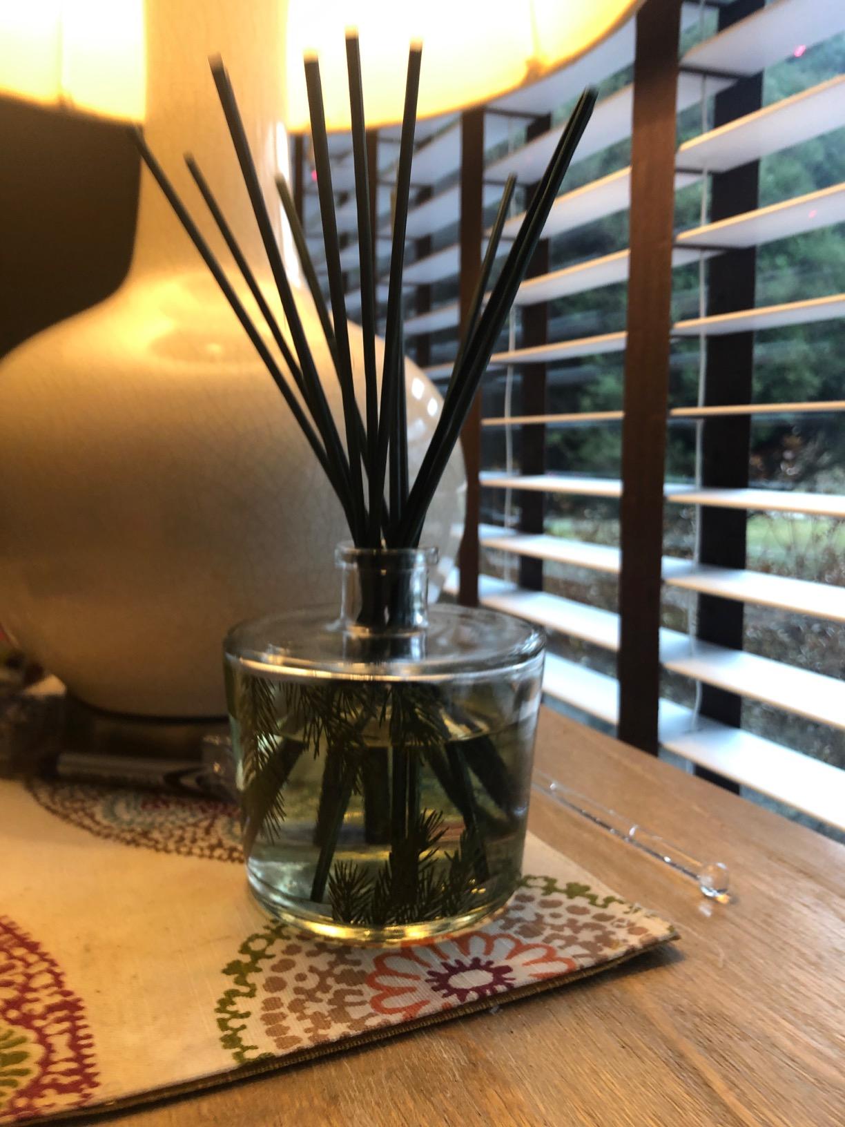 Thymes Frasier Fir Reed Diffuser Set - Includes Reeds, Fragrance Oil, and Frosted Glass Bottle - Fragrance Oil Diffuser - Room Fresheners - Luxury Home Decor - Green (Heritage, 4 fl oz) customer photo 2