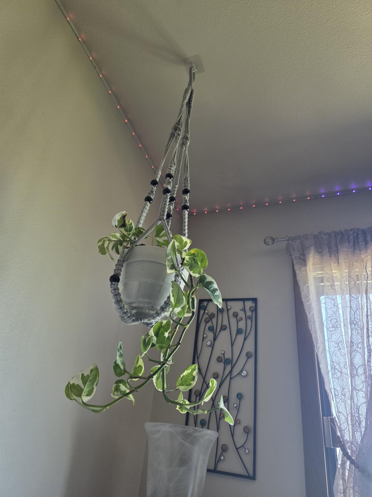 Mkono Macrame Plant Hanger Indoor 35 Inch Hanging Planter Basket Brown 1Pc | Hanging Plant Holder with Decorative Wood Beads, No Tassels, Boho Home Decor, Indoor & Outdoor Use customer photo 1