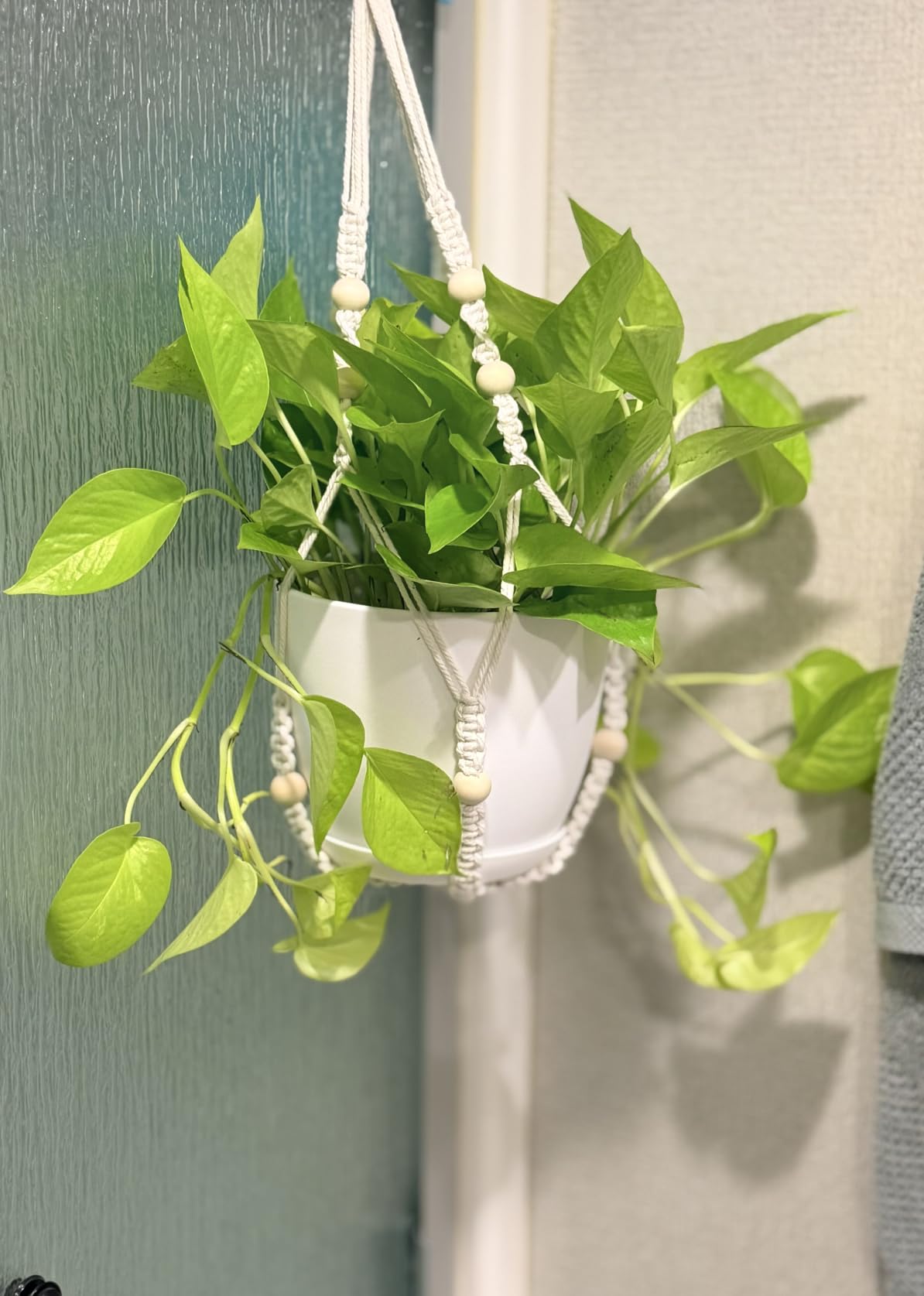 Mkono Macrame Plant Hanger Indoor 35 Inch Hanging Planter Basket Brown 1Pc | Hanging Plant Holder with Decorative Wood Beads, No Tassels, Boho Home Decor, Indoor & Outdoor Use customer photo 2