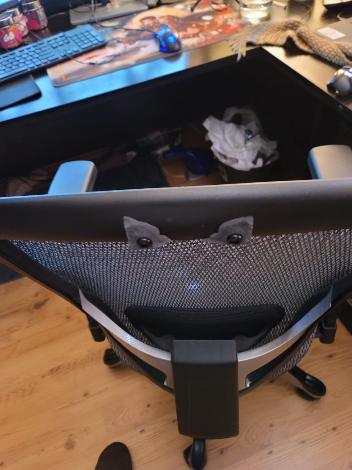STAPLES Hyken Ergonomic Task Chair, Mesh, Ergonomic, Lumbar Support, Swivel, Gray customer photo 1