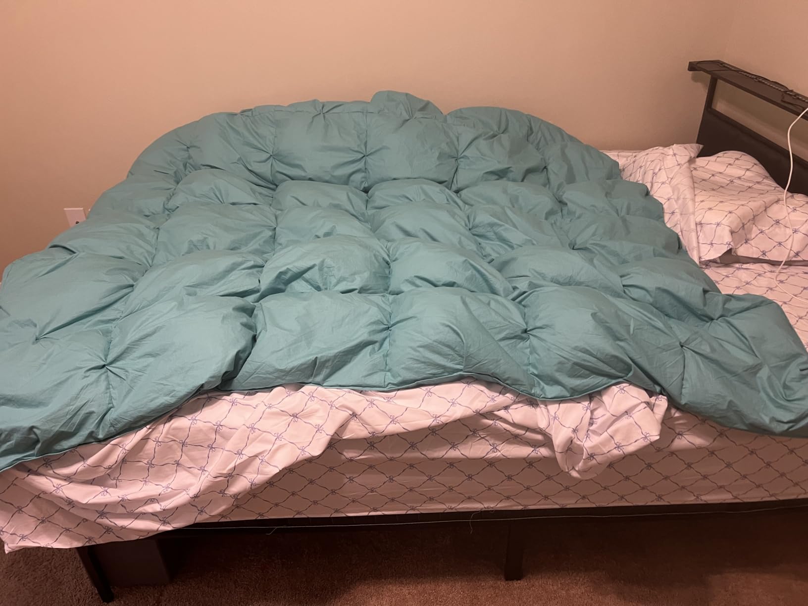 Three Geese Pinch Pleat Waterfowl Feathers and Down Comforter Queen Size Duvet Insert, 750+ Fill Power, 1200TC 100% Cotton, Premium All Seasons White Warm Hotel Comforter with 8 Tabs customer photo 1