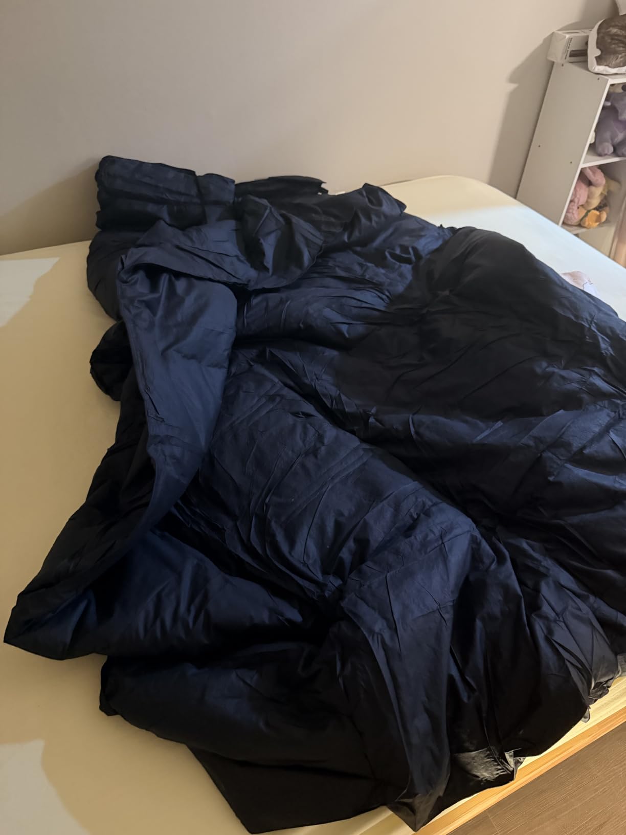 Three Geese Pinch Pleat Waterfowl Feathers and Down Comforter Queen Size Duvet Insert, 750+ Fill Power, 1200TC 100% Cotton, Premium All Seasons White Warm Hotel Comforter with 8 Tabs customer photo 2
