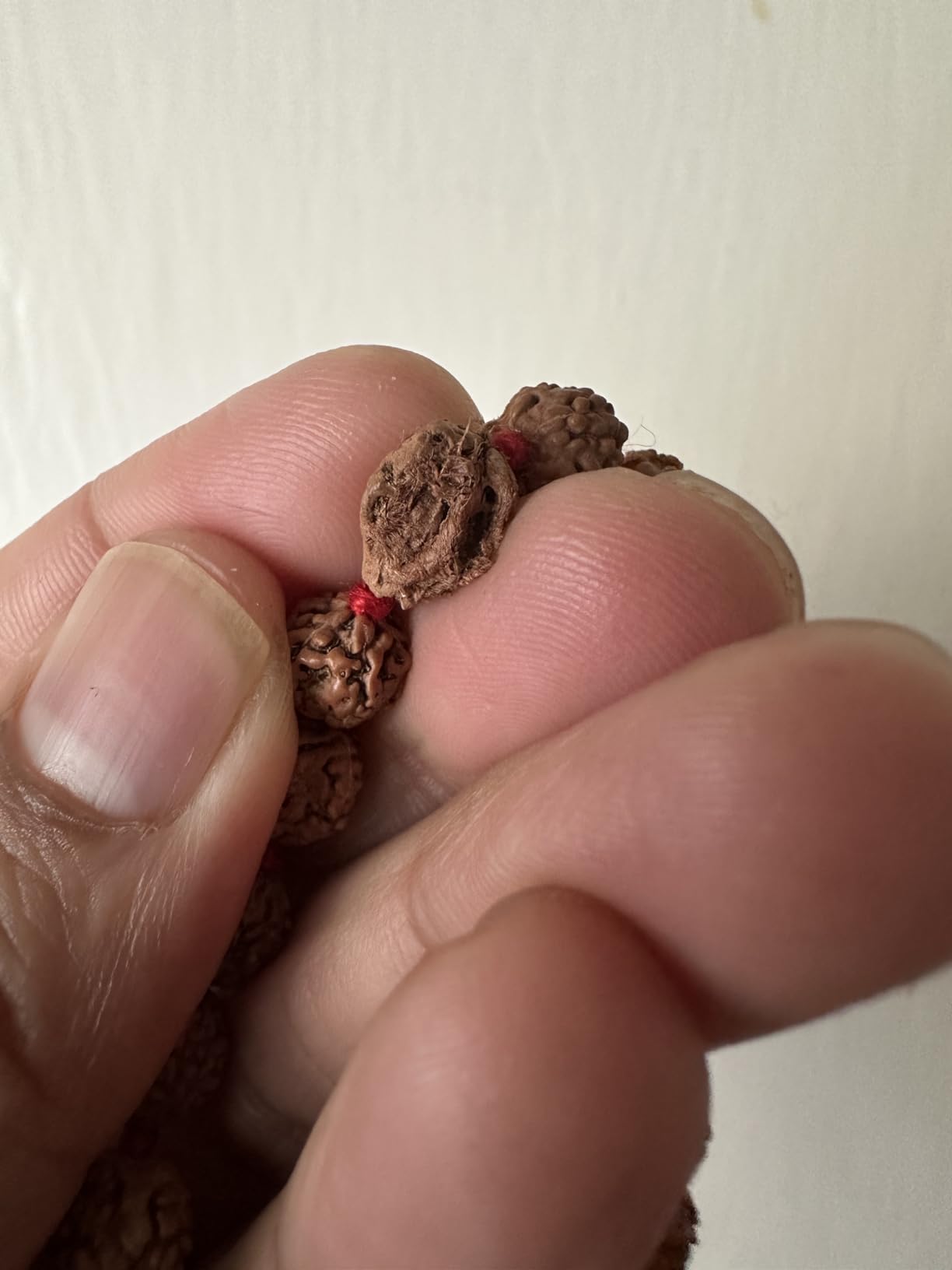 Certified Rudraksha Mala 5face(Panchmukhi) Authentic Genuine Rudraksha Beads Ornament Rosary Japa Mala Beads Necklace Puja | Prayer Beads | Meditation Beads customer photo 2