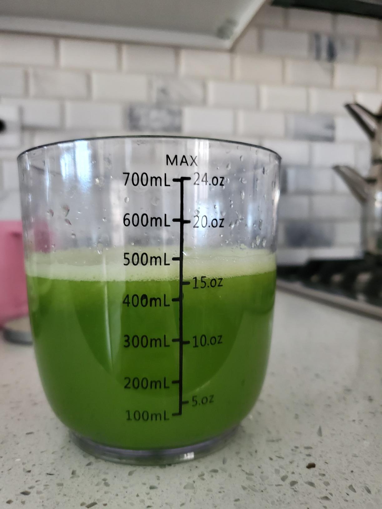 Juicer, Jocuu Slow Masticating Juicer Machines Easy to Clean, Soft/Hard Two Speed Quiet Motor Reverse Function Anti-Clogging, Cold Press Juice Extractor with Brush & Recipes customer photo 1