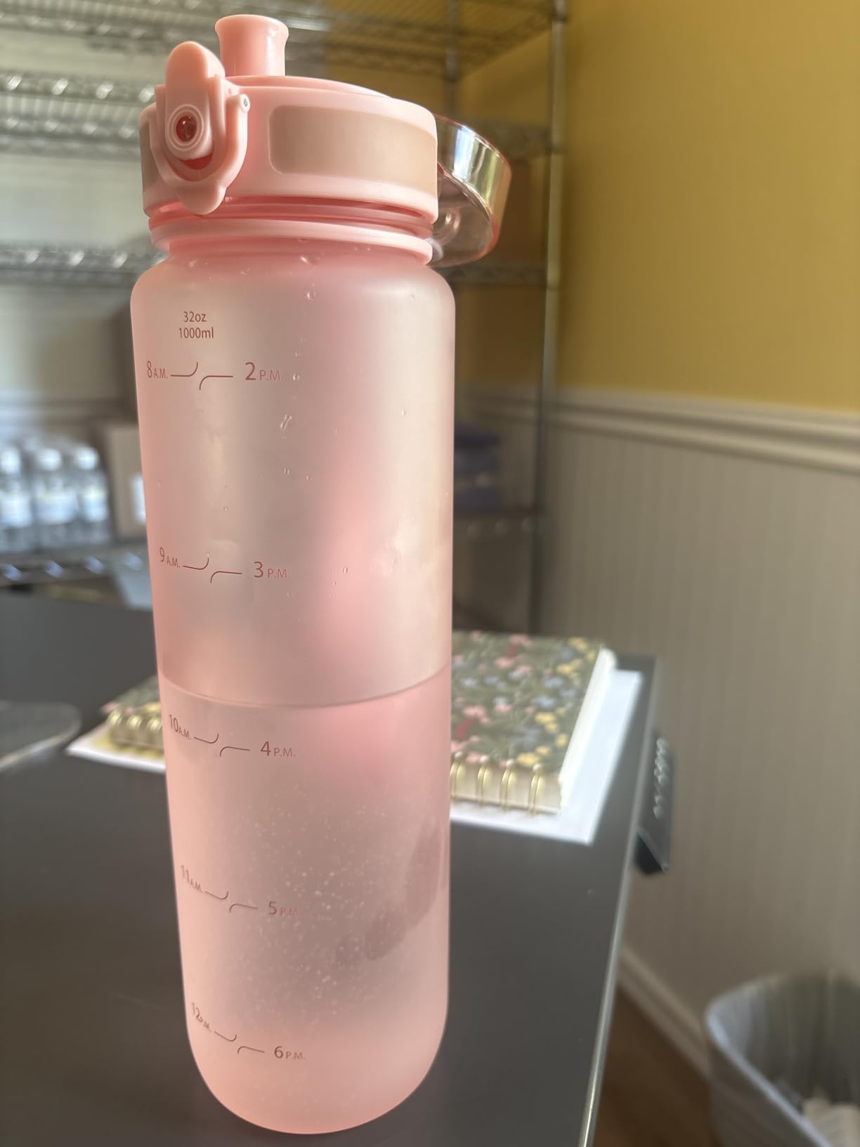 Hydracy Motivational Water Bottle with Time Marker & Fruit Infuser 32 oz | BPA-Free Tritan, Leakproof Flip-Top Lid, No-Sweat Sleeve, Carry Strap, Daily Intake Tracking for Gym, Sports, Outdoors customer photo 2