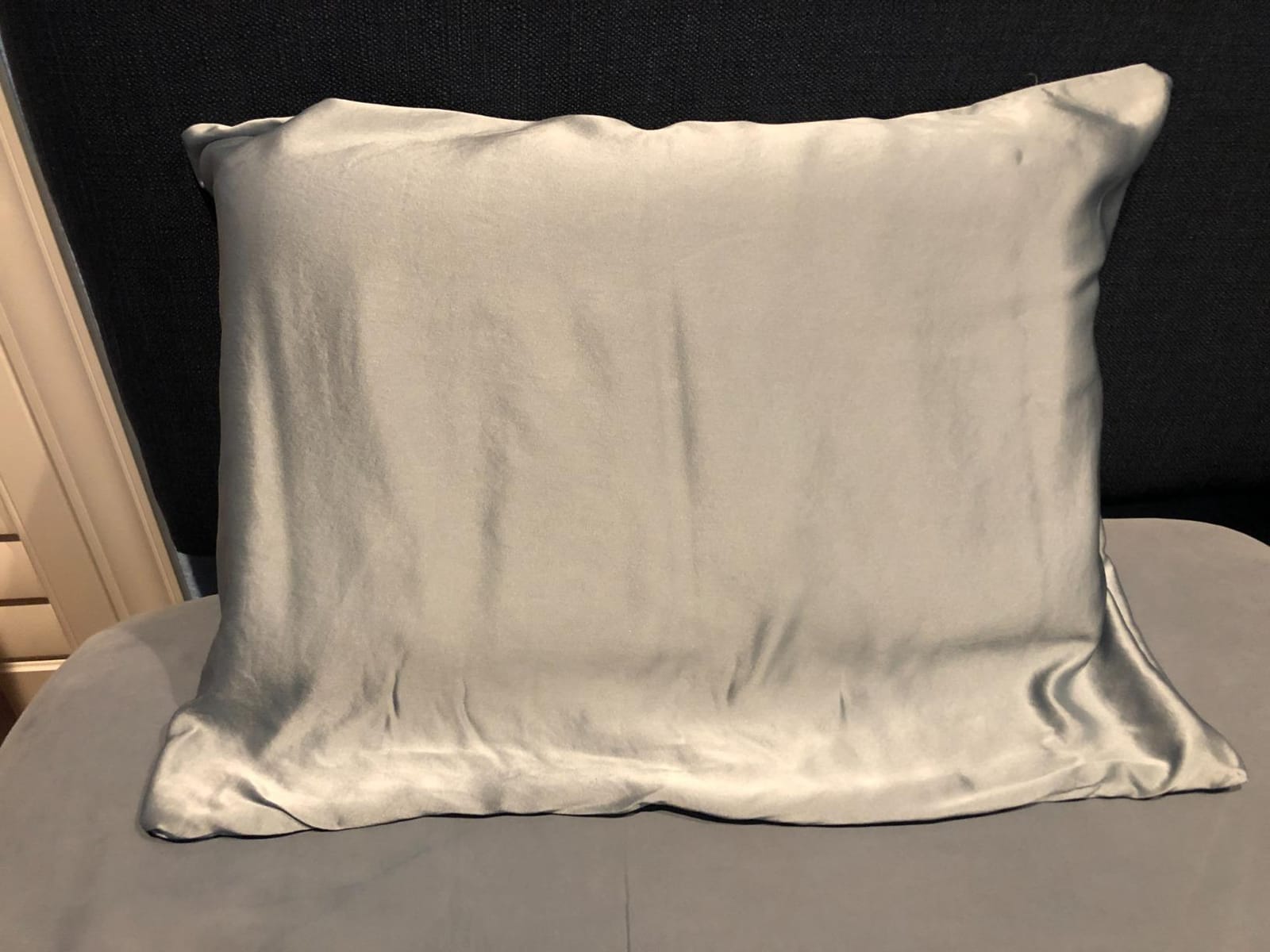 Adubor 100% Silk Pillowcase - Mulberry Silk Pillow Cases, 22 Momme 6A Grade Fibers, Silk Pillow Case for Hair and Skin Health, with Hidden Zipper (Standard 20''x26'', Ivory White, 1PC) customer photo 1