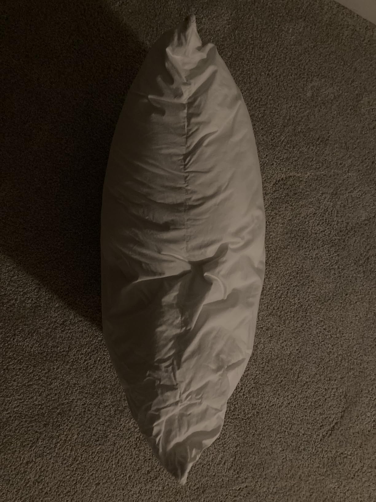 Three Geese Adjustable Layer Goose Feather Pillow,Assembled Bed Pillow, Soft Cotton Cover,Good for Side and Back Stomach Sleeper, Standard/Queen Size,Packaging Include 1 Pillow customer photo 1