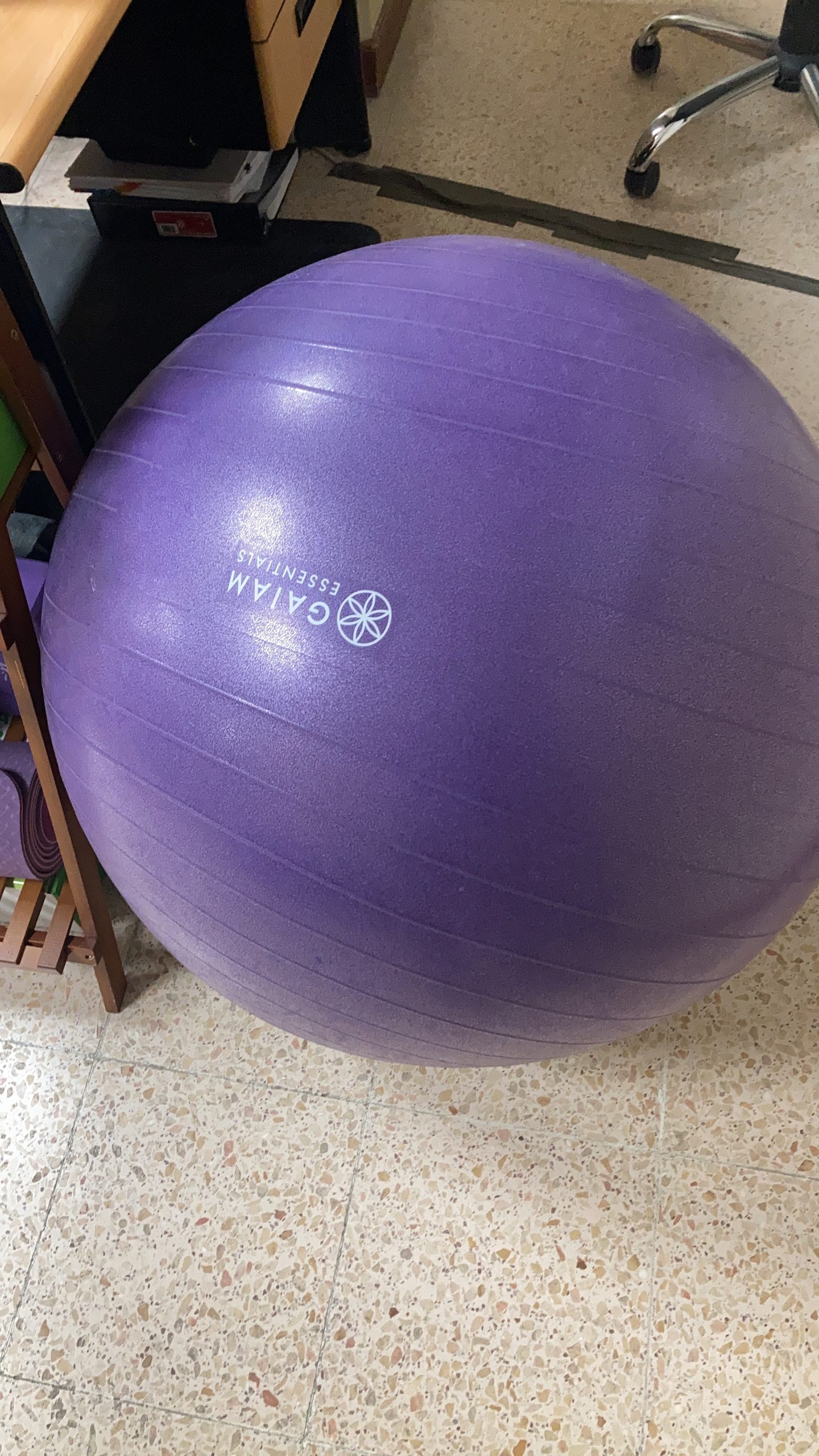 Gaiam Essentials Balance Ball & Base Kit, Yoga Ball Chair, Exercise Ball with Inflatable Ring Base for Home or Office Desk, Includes Air Pump customer photo 2