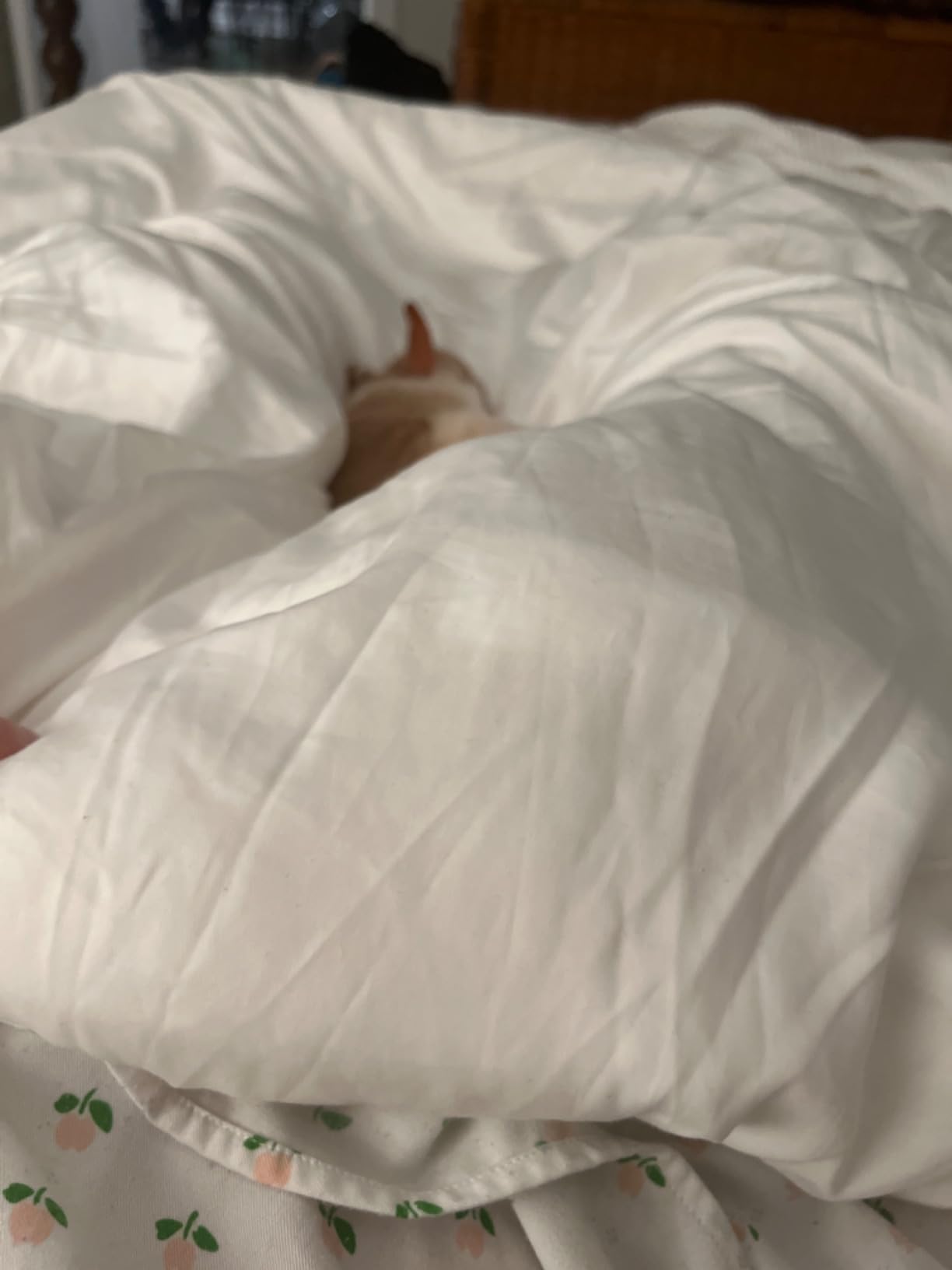 Buffy Breeze Comforter - Soft 100% Eucalyptus Lyocell, Cooling, White Lightweight Summer Duvet Insert with Corner Tabs (Full/Queen) customer photo 1