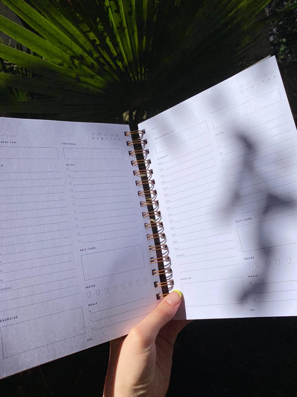 The Self-Care Planner by Simple Self - Undated 6 Month Life Planner - Daily, Monthly, Weekly - Focus on Wellness, Productivity, Achieving Goals, and Happiness (Blush, Daily Edition) customer photo 1