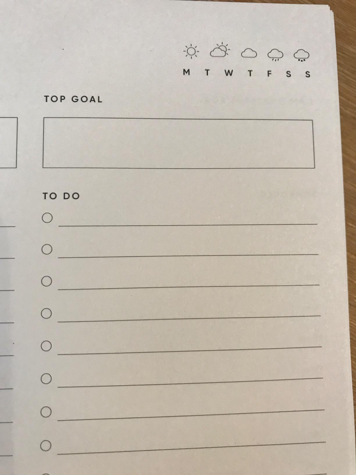 The Self-Care Planner by Simple Self - Undated 6 Month Life Planner - Daily, Monthly, Weekly - Focus on Wellness, Productivity, Achieving Goals, and Happiness (Blush, Daily Edition) customer photo 2