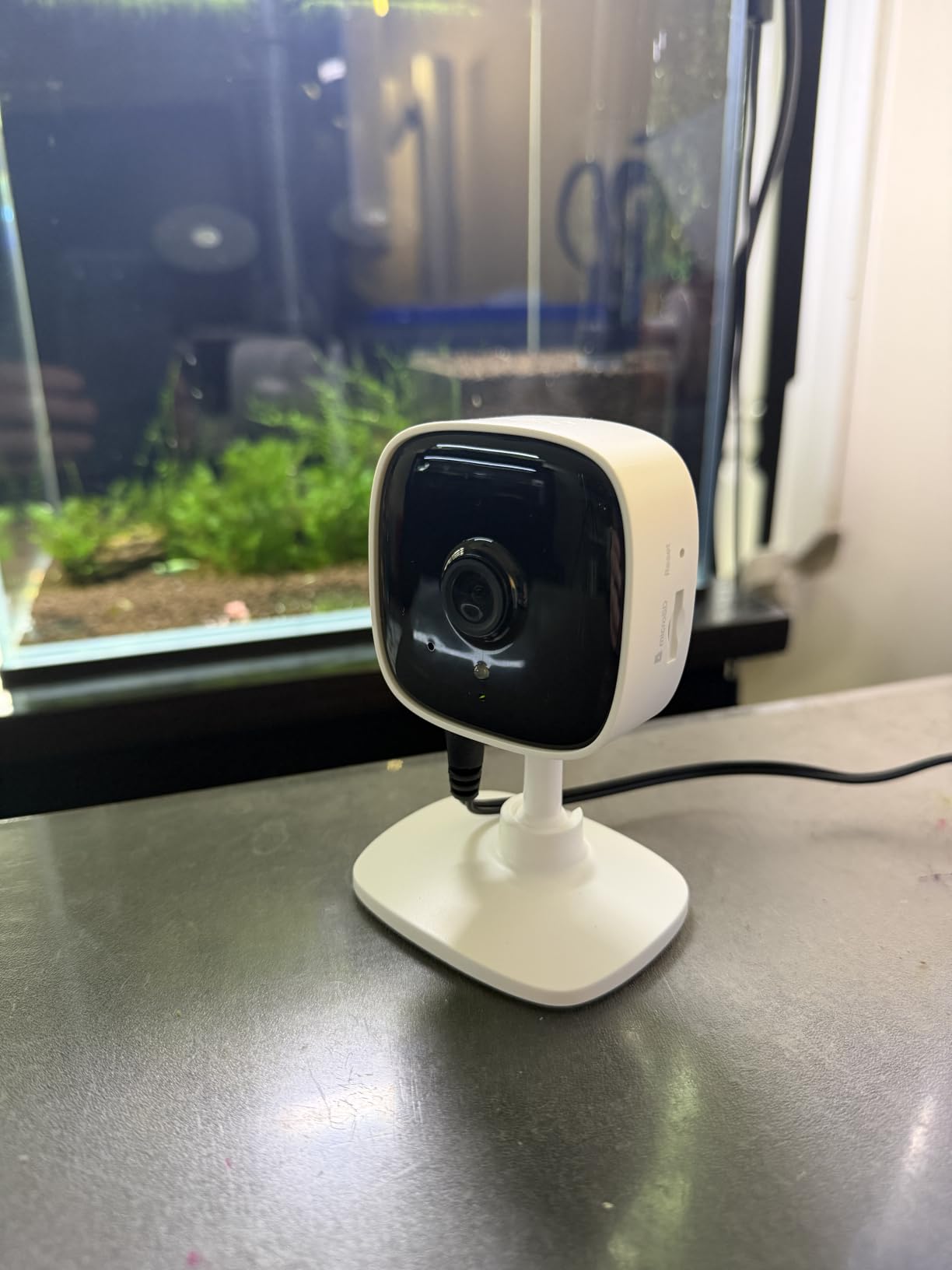 Tapo 1080P Indoor Security Camera, Baby Monitor, Dog Camera, Wired, C100 customer photo 1