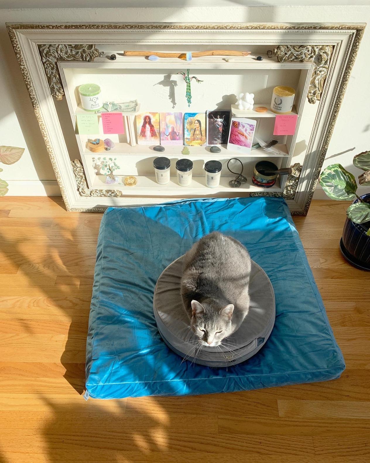 Florensi Zabuton Meditation Mat 32x32, Sage Green Velvet Floor Cushion customer photo 2