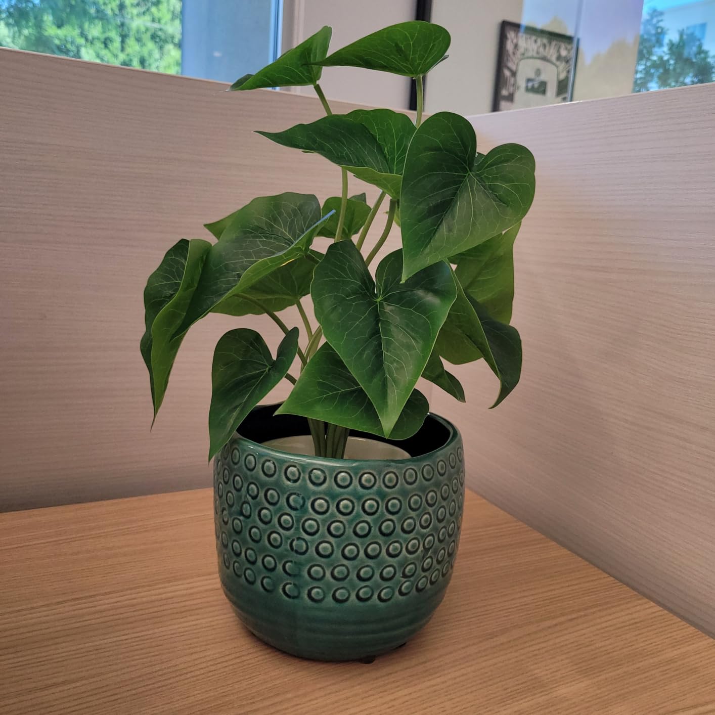 Mkono Fake Plants in Ceramic Pot, 11 inch Potted Artificial Plants Home Decor, Realistic Faux Green Leaf Plant with White Planter, Fake Pothos for Desk Shelf Table Office customer photo 1