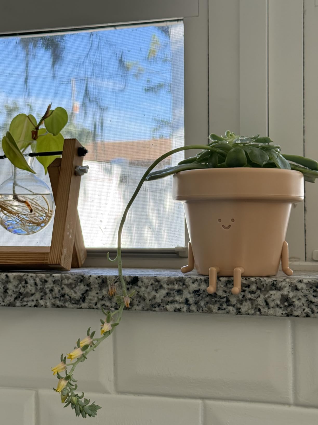 Original Earthlings Sitting Small Plant Pot - 4 Inch Cute Plant Pot - Succulent & Cactus Christmas Planters, Removable Drainage Plug, Cute Decor Plant Gifts for Plant Lovers, Teacher Gifts customer photo 1