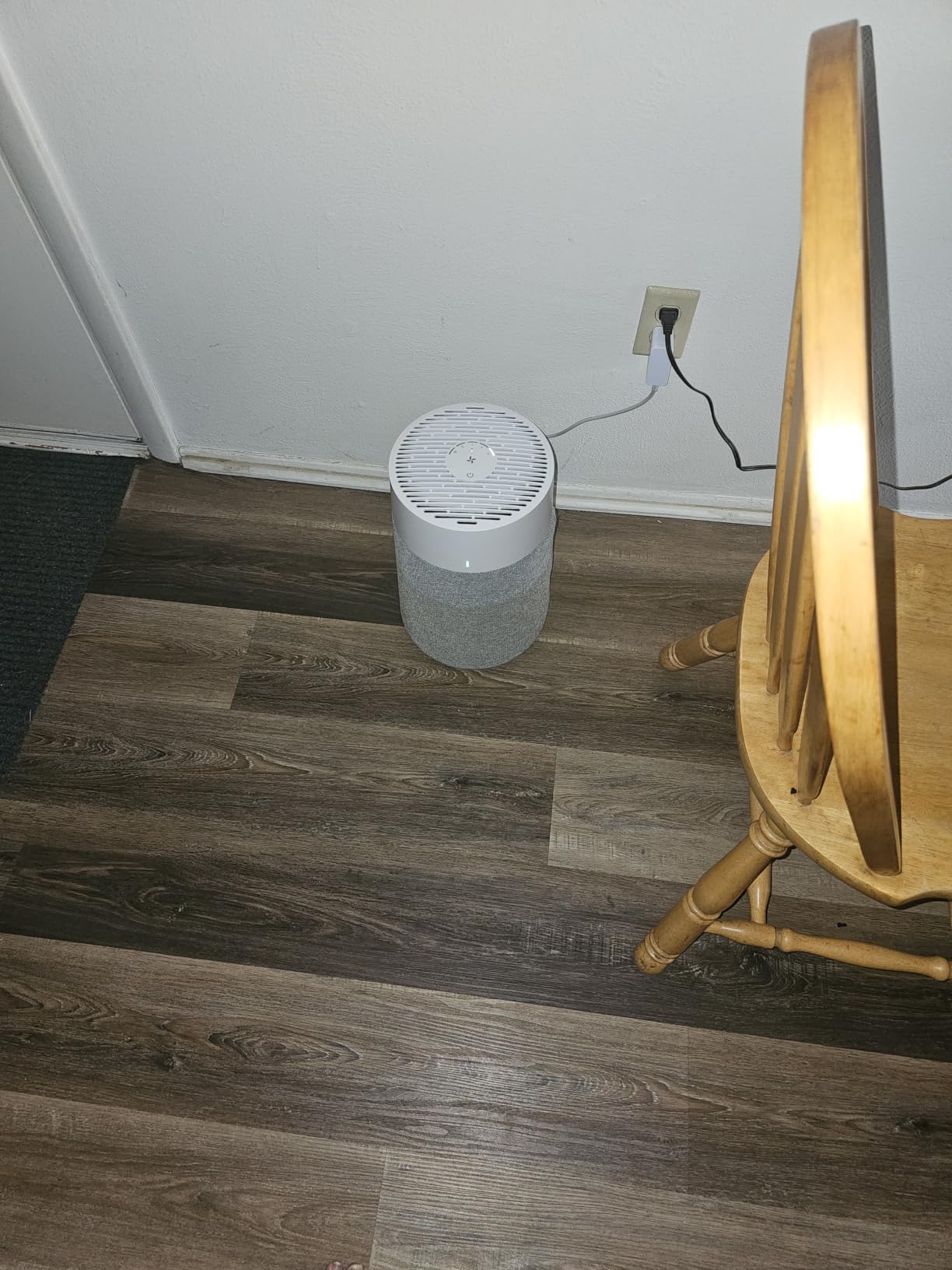 BLUEAIR Blue Pure 511i Max Smart Air Purifier for Bedroom & Small Rooms up to 1,138 Sq Ft, HEPASilent Air Cleaner for Pets, Allergies, Smoke & Dust, WiFi Air Purifier with Auto Mode customer photo 1