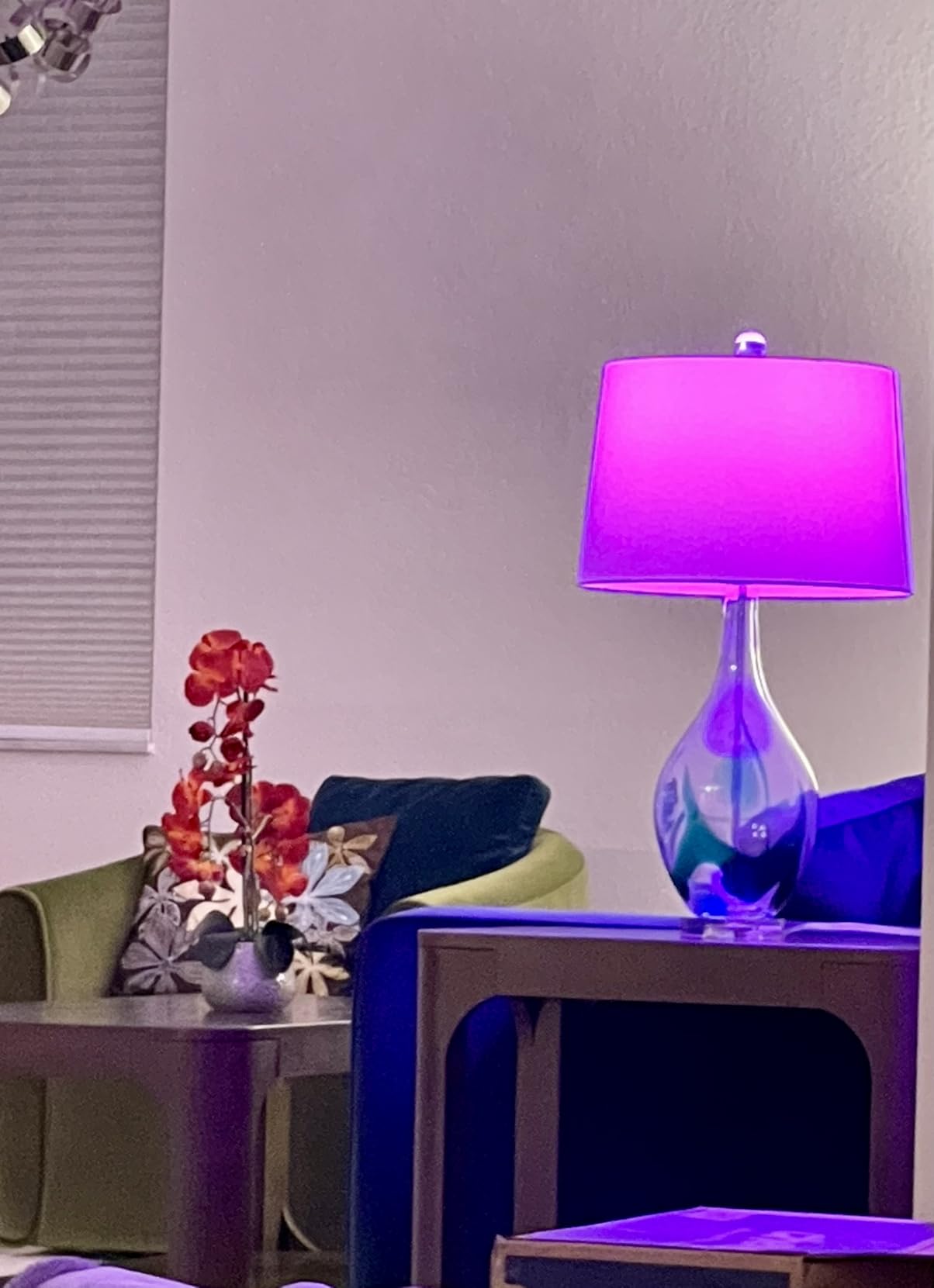 Kasa Smart Light Bulbs, Full Color Changing Dimmable Smart WiFi Bulbs Compatible with Alexa and Google Home, A19, 60 W 800 Lumens, 2.4Ghz only, No Hub Required, 2-Pack (KL125P2), Multicolor customer photo 1