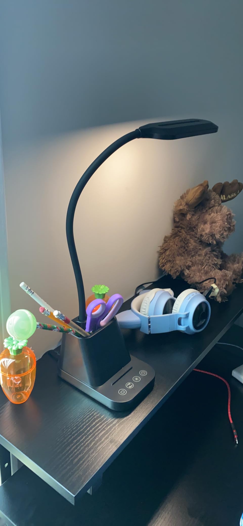LED Desk Lamp with USB Charging Port for College Dorm Room | for Home Office Bedrooms, Back to School, Black, Small, 650LM, Pen Holder, Timer Settings, Gooseneck, Study Light customer photo 1