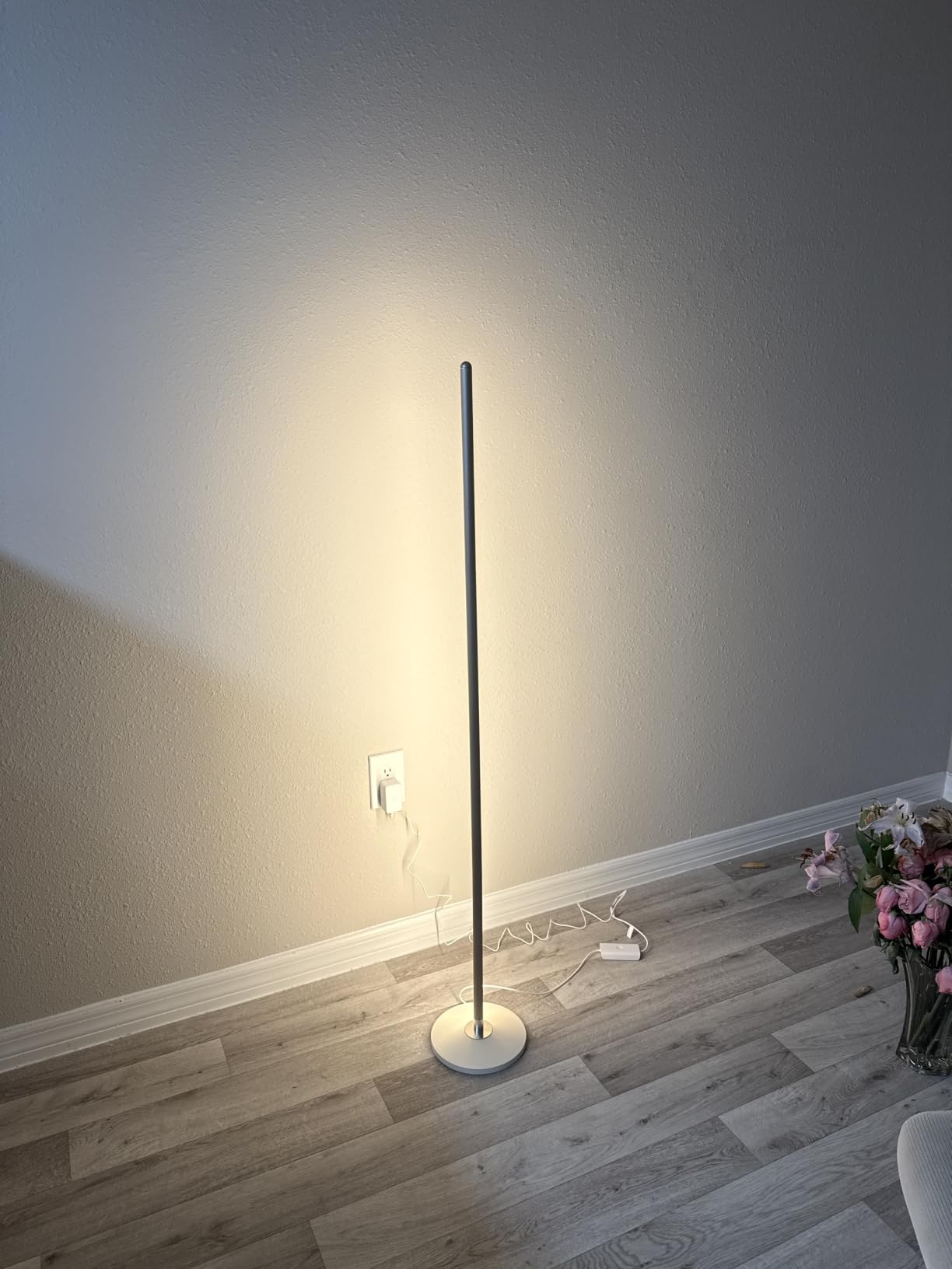 Govee RGBIC Floor Lamp Basic, 1000lm LED Corner Lamp Compatible with SmartThings, Alexa, and Matter, Modern Floor Lamp with Music Sync and 16 Million DIY Colors, Standing Lamp for Bedroom Living Room customer photo 1