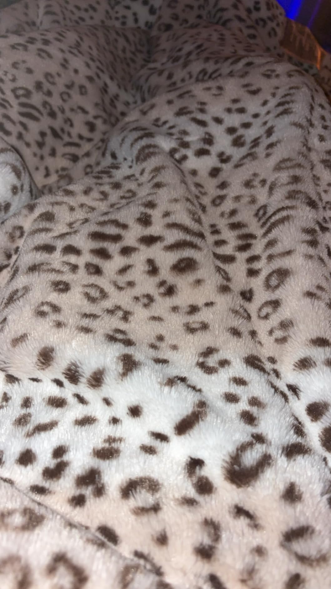 Westinghouse Heated Blanket Queen, 84
