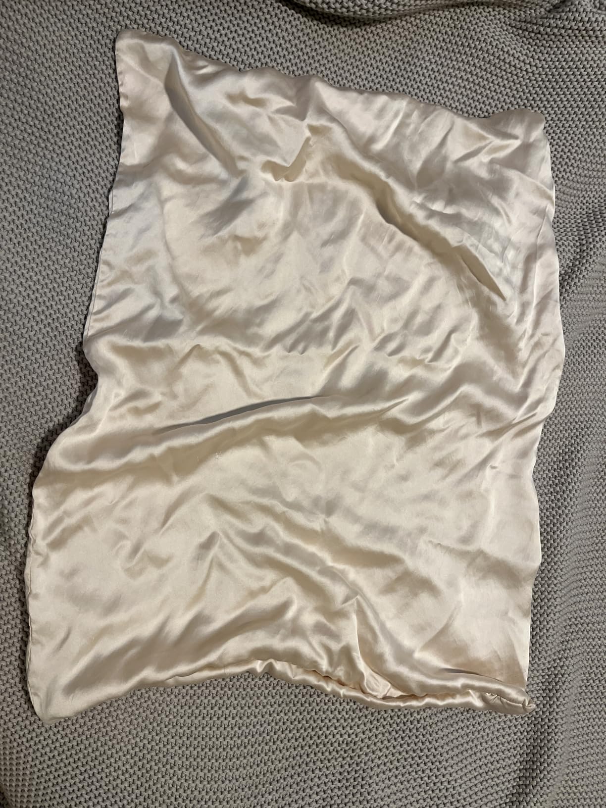 PROMEED 23 Momme 100% Mulberry Silk Pillowcase for Hair and Skin, Standard | Both Sides Real Silk, Grade 6A+; Friction-Free Surface Prevents Hair Tangles, Bedhead, and Split-End Breakage Overnight customer photo 1