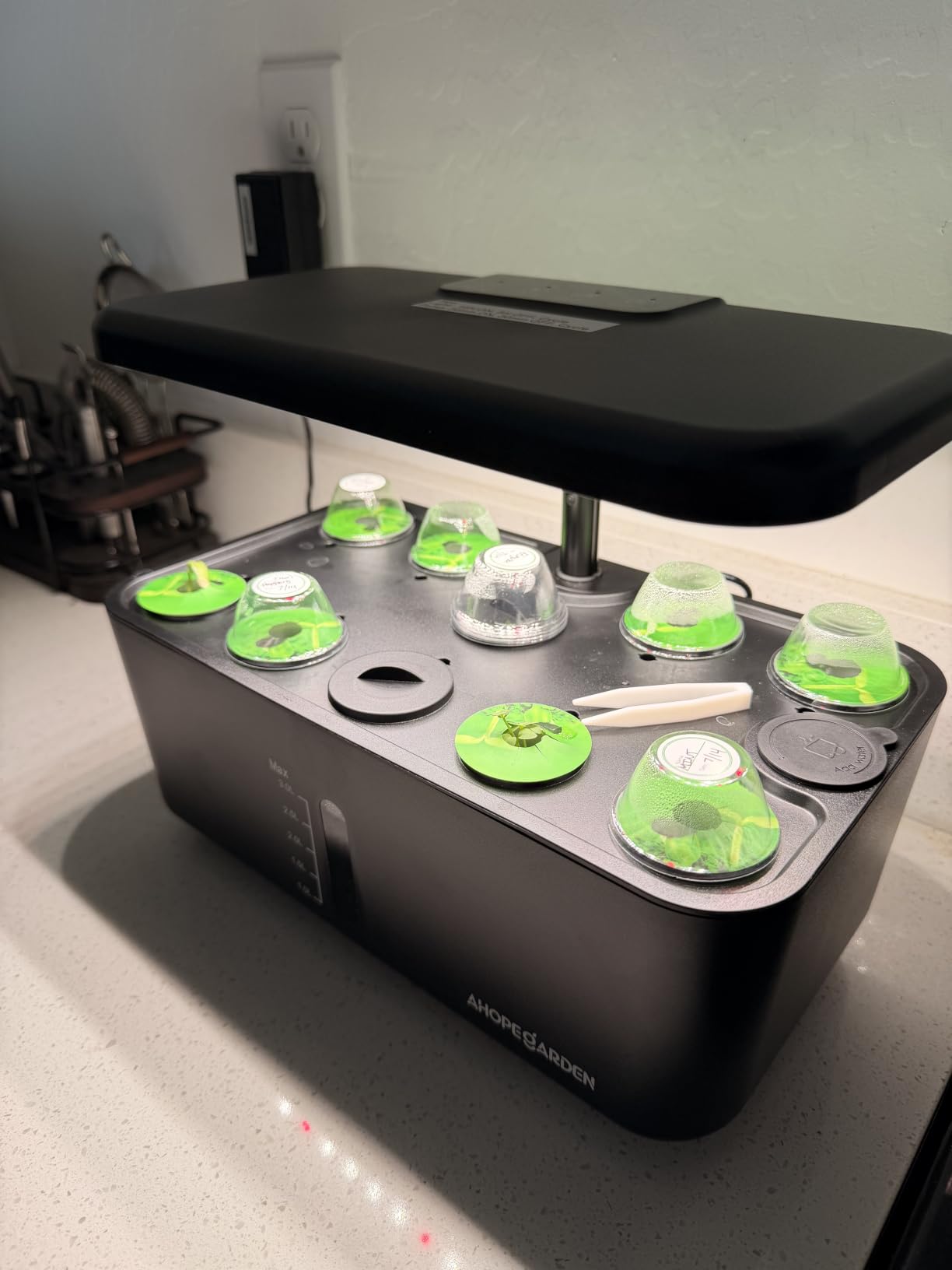 Indoor Garden Hydroponics Growing System: 10 Pods Kit with LED | Plant Germination Kit Herb Vegetable Growth Lamp Countertop, Hydroponic Planter Grower Harvest Lettuce for Healthy Home Cooks customer photo 1
