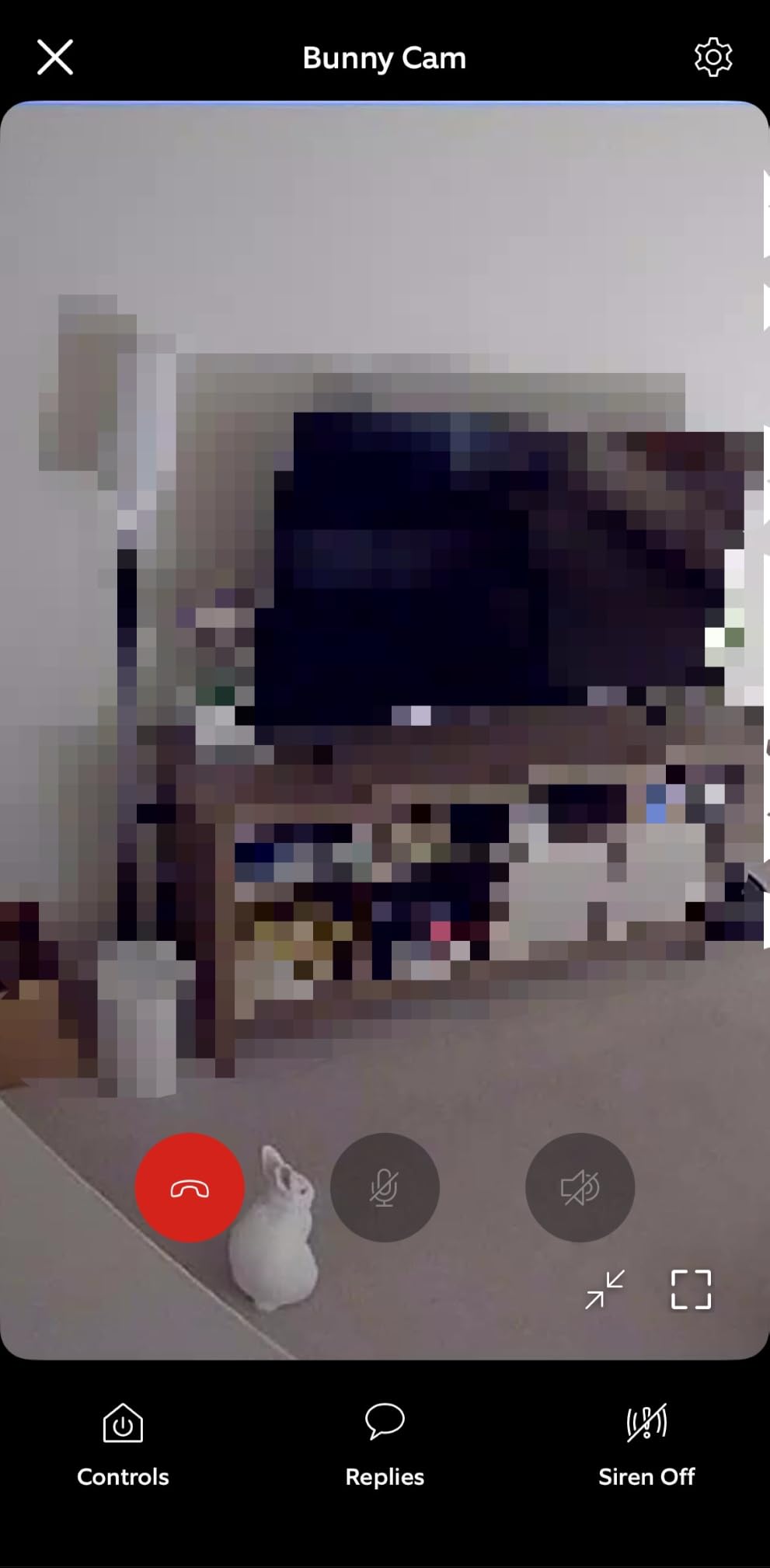 Ring Indoor Cam (newest model) — Home or business security in 1080p HD video, White customer photo 1