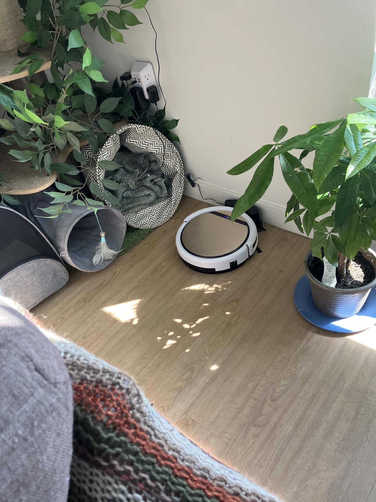 ILIFE V5s Plus Robot Vacuum and Mop Combo with Wi-Fi/App/Alexa, Automatic Self-Charging Robotic Vacuum Cleaner, Slim and Quiet, Cleans Hard Floors Carpets and Pet Hair (V5s Pro Upgrade Version) customer photo 1