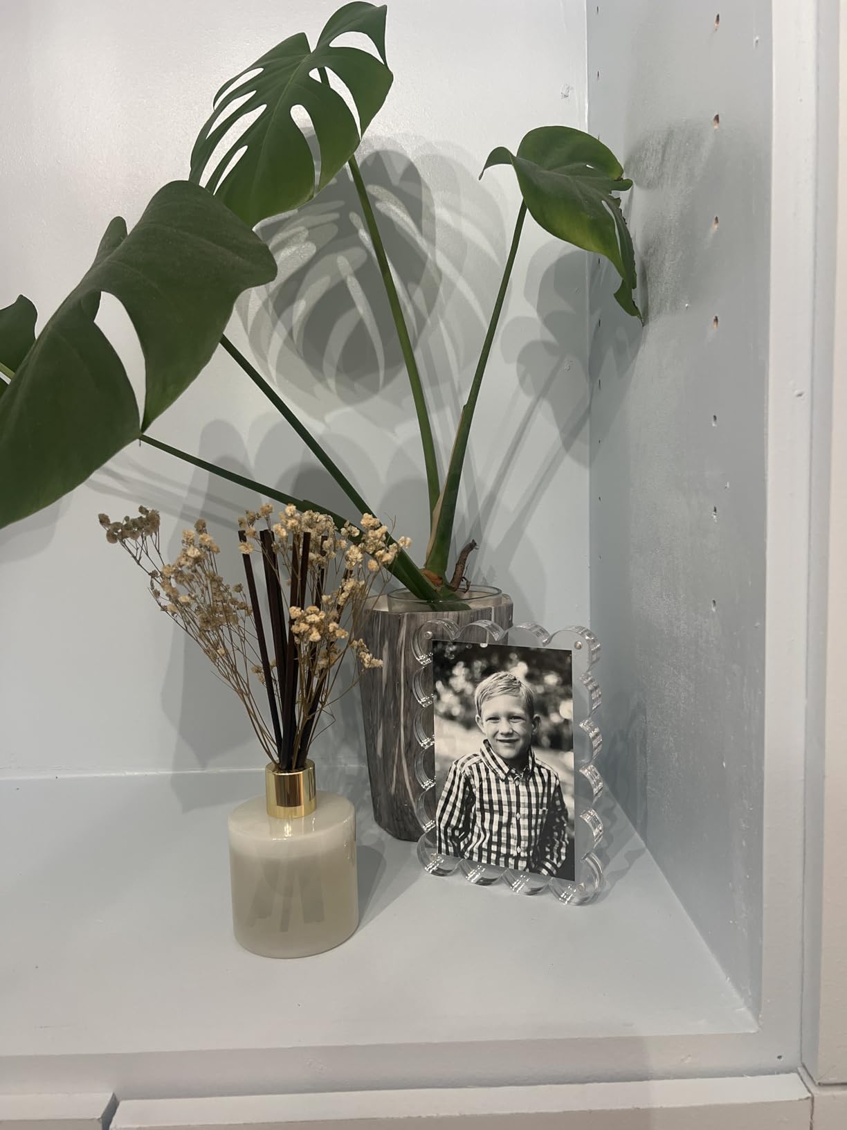 Cocorrína Reed Diffuser Sets, 6.7 fl oz. Black Forest Diffuser with Sticks Home Fragrance Reed Diffuser for Bathroom Shelf Decor customer photo 2