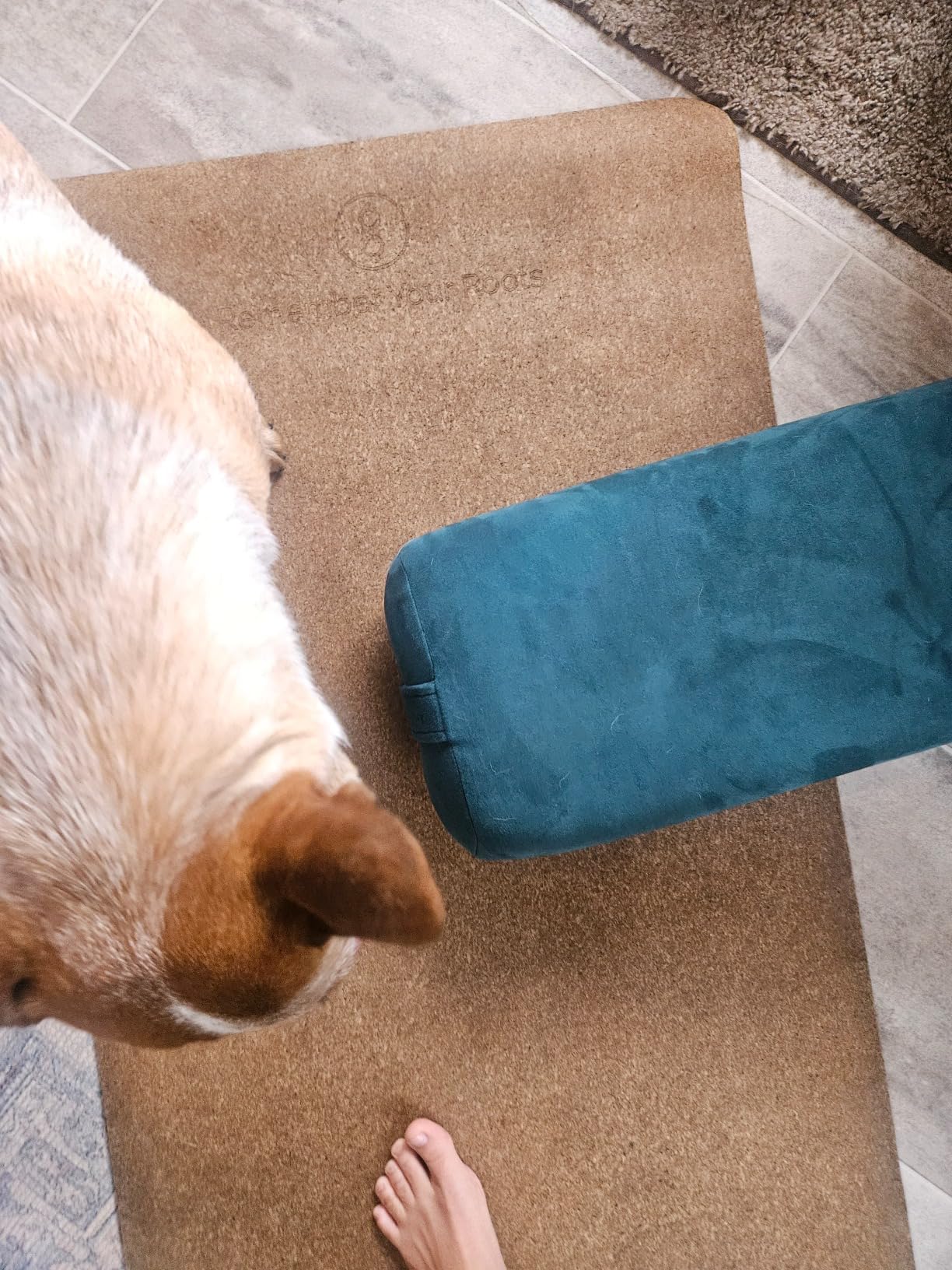 Gurus Super Soft & Firm Yoga Bolster Pillow - Lightweight, Easy to Carry with Handles - Rectangular, Machine Washable Cover customer photo 2