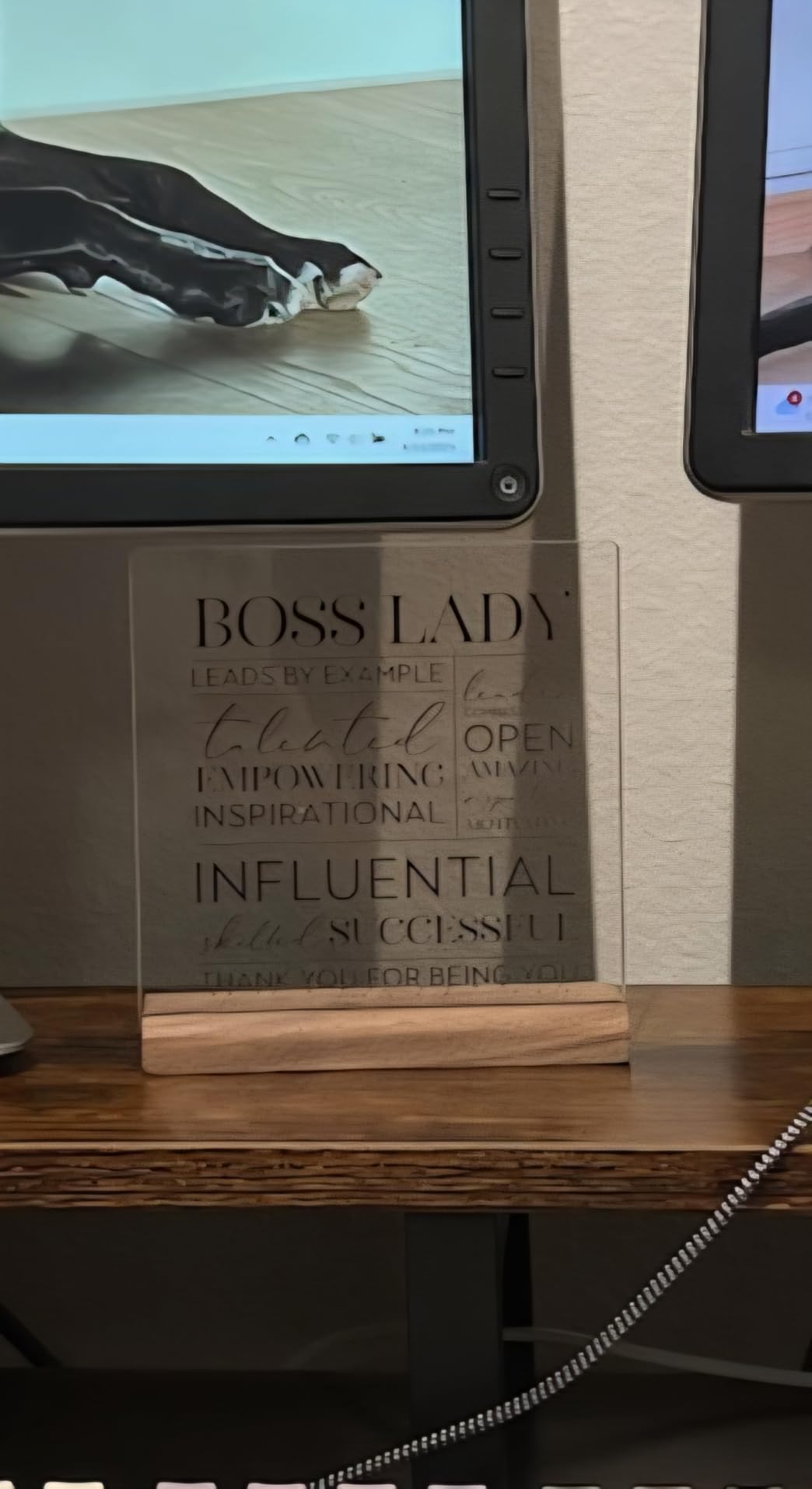 LukieJac Best Boss Lady Gifts for Women Boss Birthday Office Desk Decor Boss Day Decorations Female Managers Office Sign customer photo 1