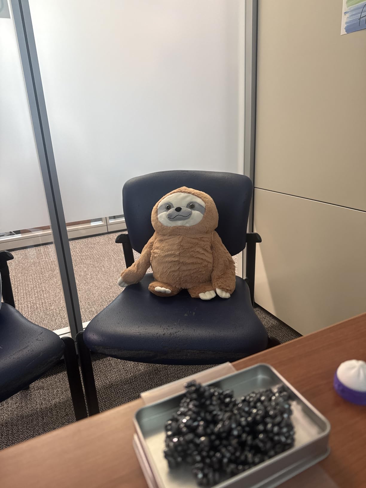 Weighted Stuffed Animal for Anxiety | Calming & Comforting 5 Lbs | Weighted Plush Animal Sloth | Anxiety Stuffed Animals for Adults & Kids | Carrying Bag Included | Machine Washable Weighted Plushie customer photo 1