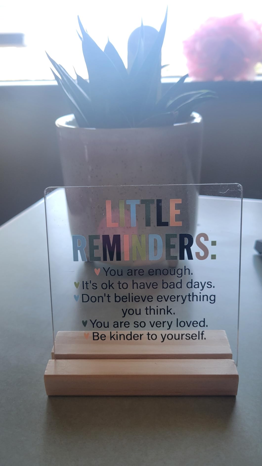 She Believed She Could Clear Desk Decorative Sign Acrylic Sign With Wooden Stand for Office Desk customer photo 1