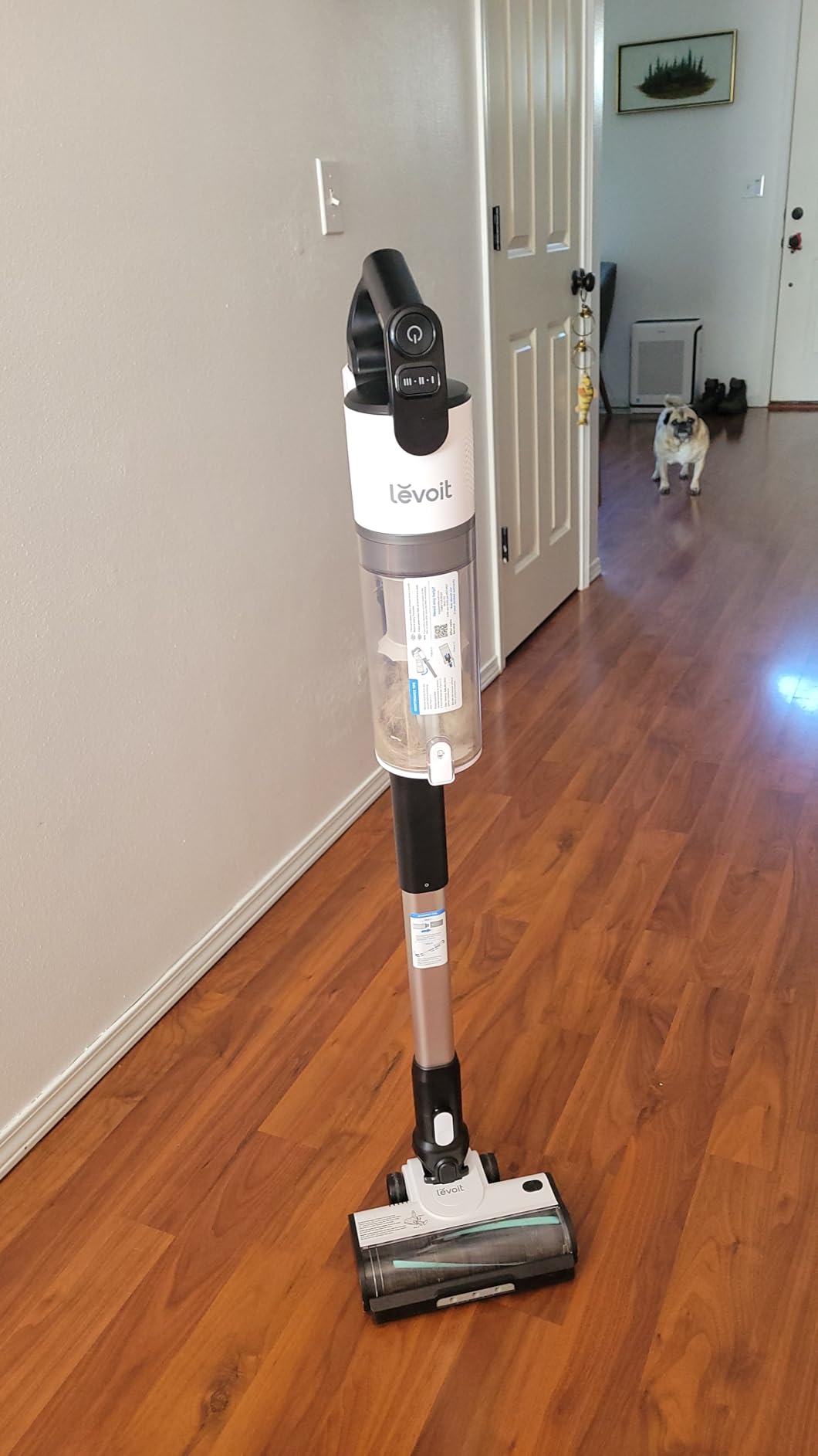 LEVOIT Cordless Vacuum Cleaner, Stick Vac with Tangle-Resistant Design, Up to 50 Minutes, Powerful Suction, Rechargeable, Lightweight, and Versatile for Carpet, Hard Floor, Pet Hair, LVAC-200 customer photo 1